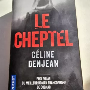 cropped 20251230 145226 scaled 1