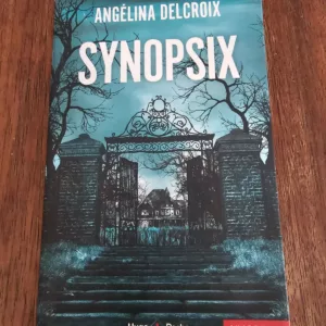 Synopsis de Angélina Delcroix