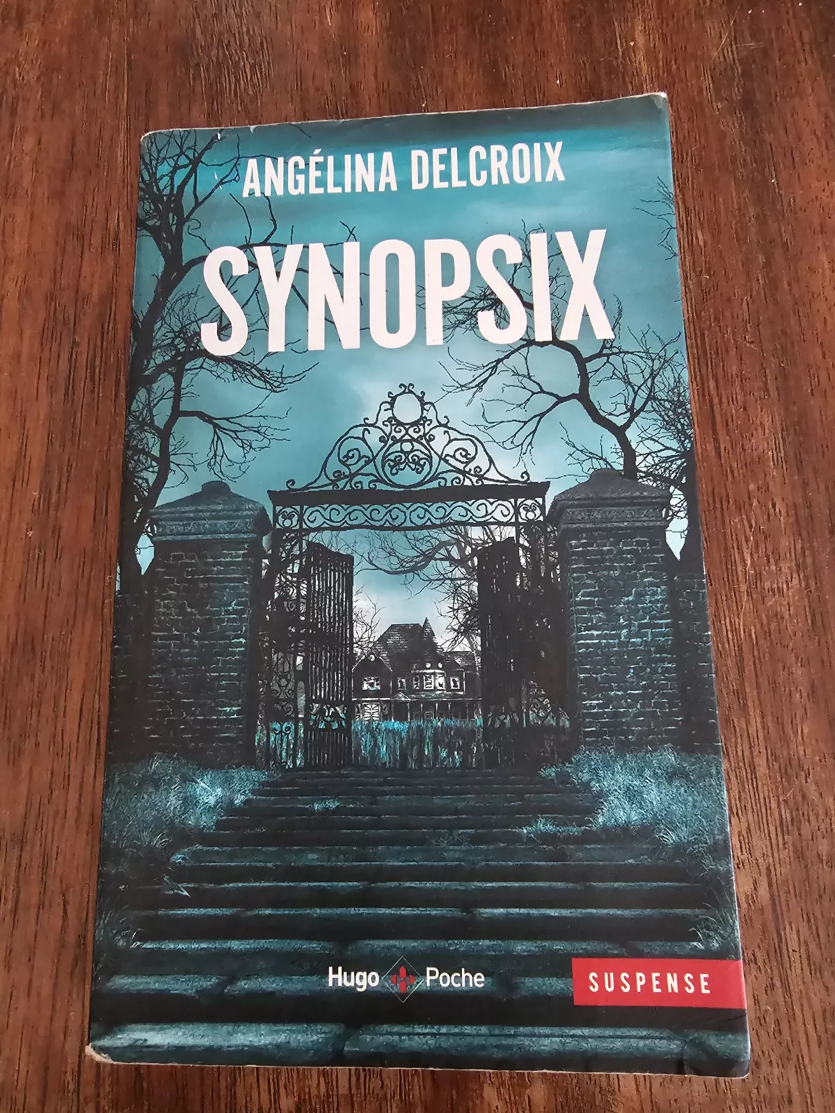 Synopsis de Angélina Delcroix