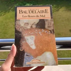 cropped WhatsApp Image 2025 12 12 at 12.35.48