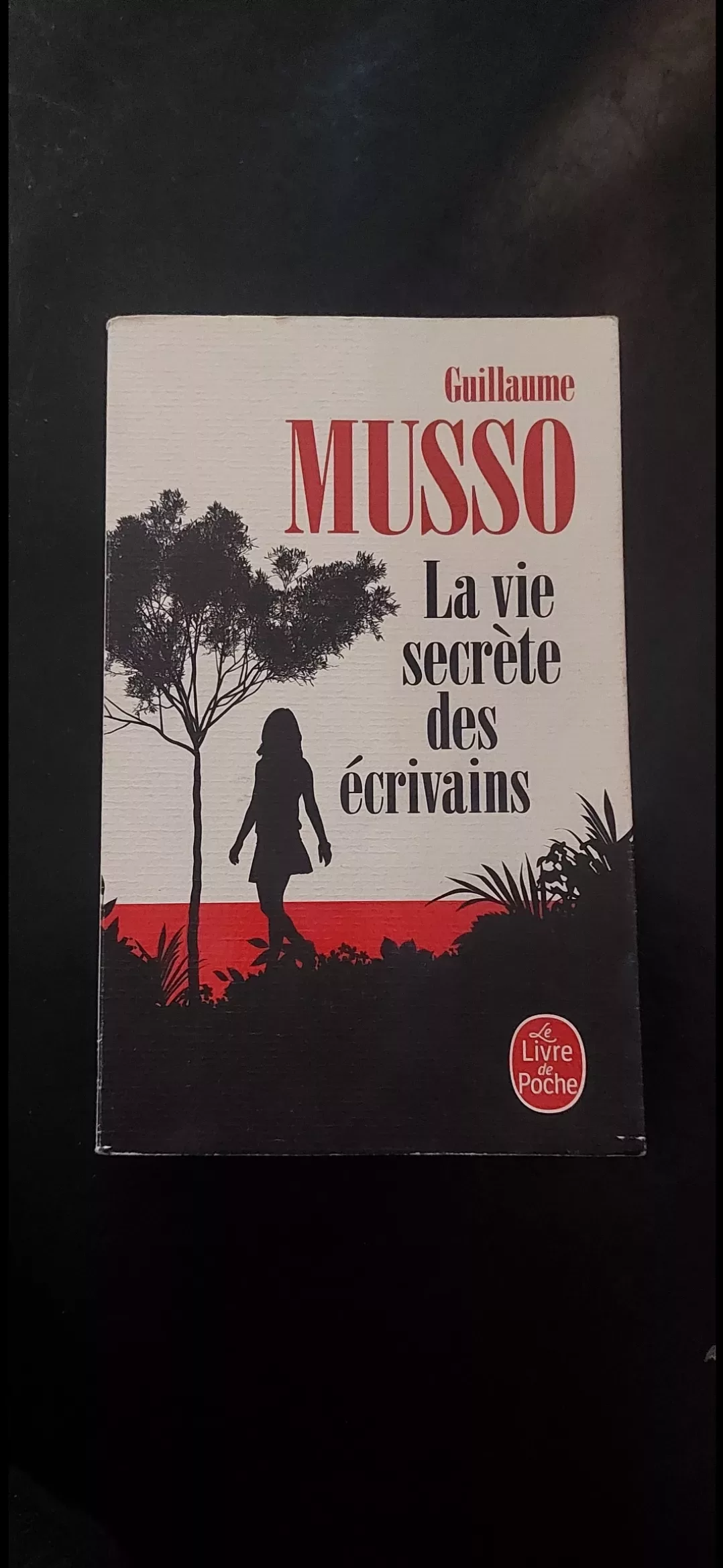 La vie secréte des écrivains