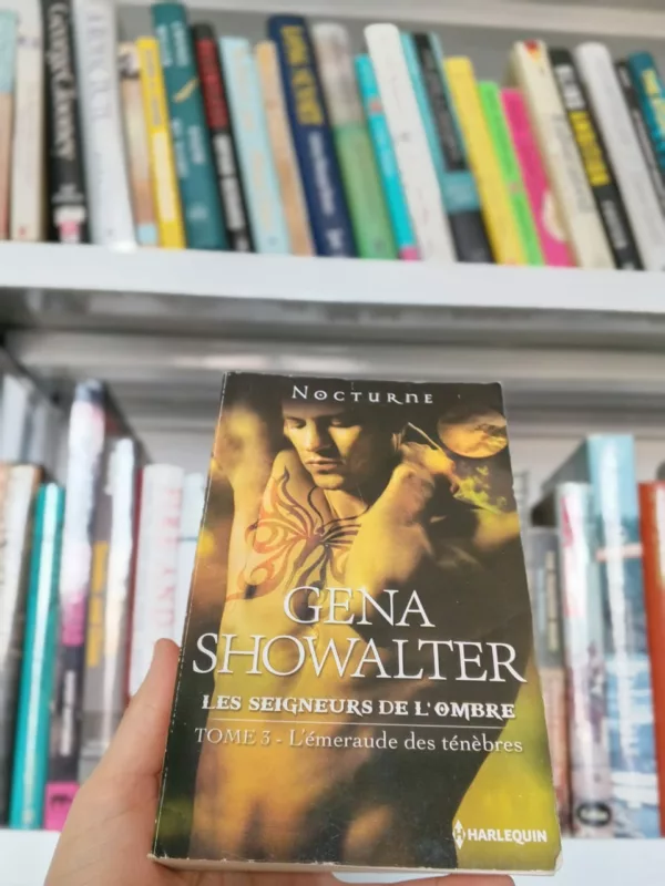 Les seigneurs de l’ombre, Tome 3: l’émeraude des ténèbres