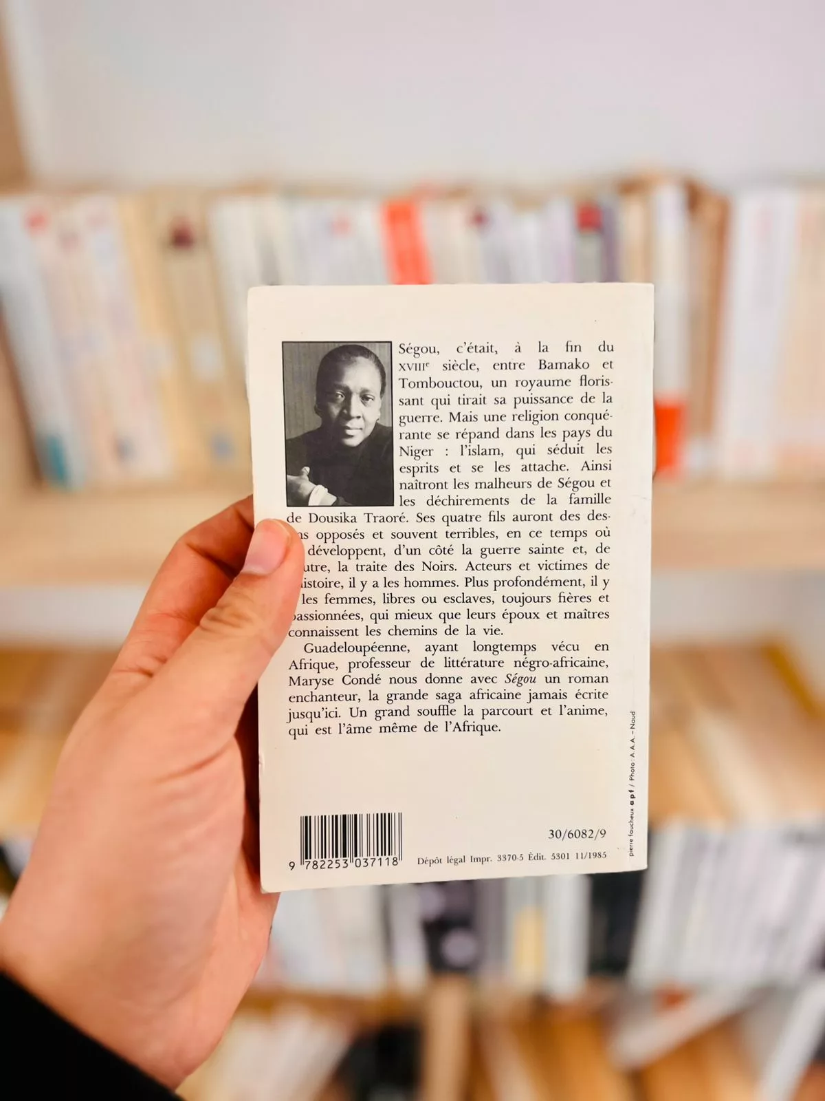 Ségou, tome 1 : Les murailles de terre