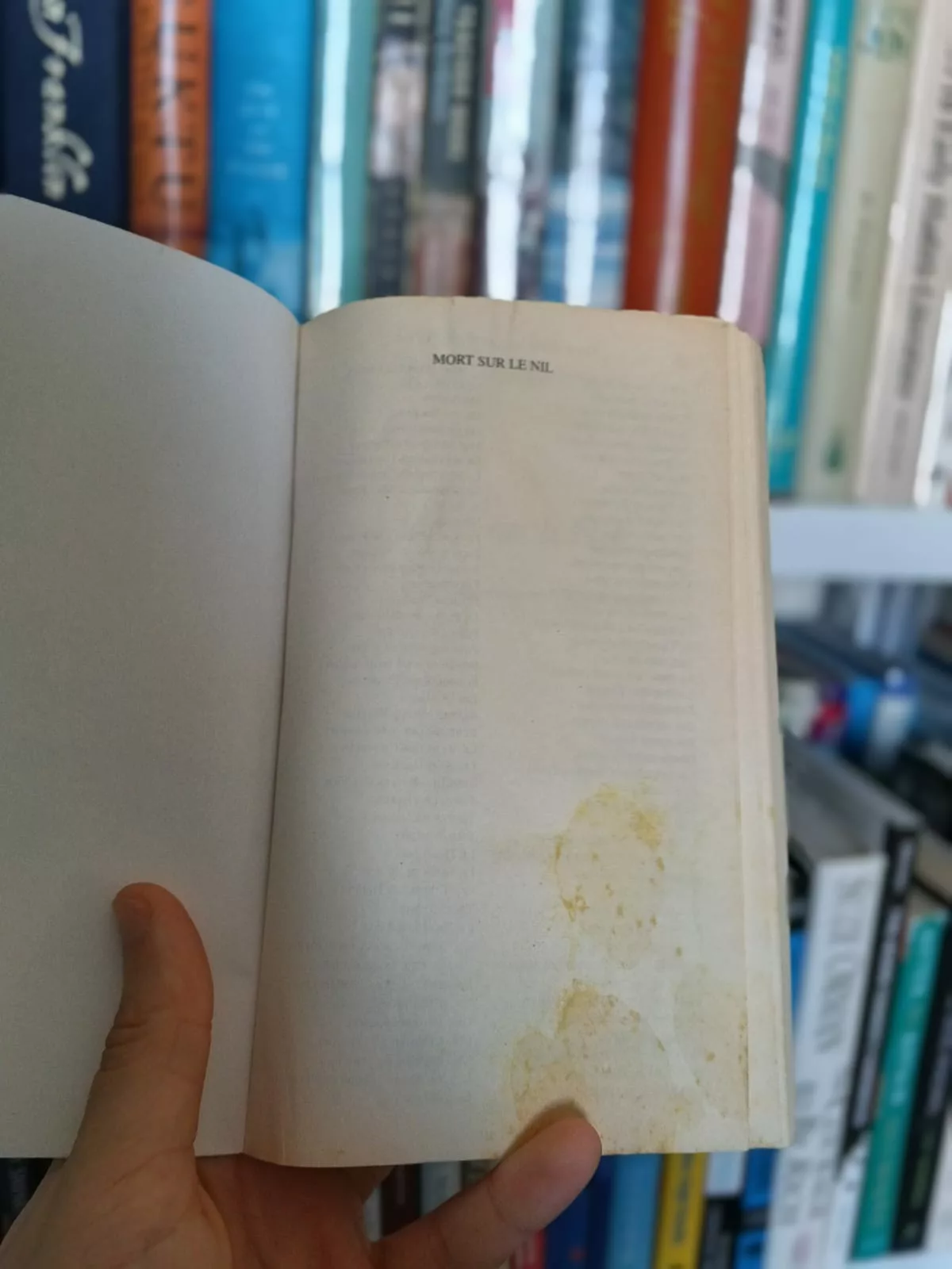 dcfc8cd5-83e3-4199-8660-ddfeb5025580