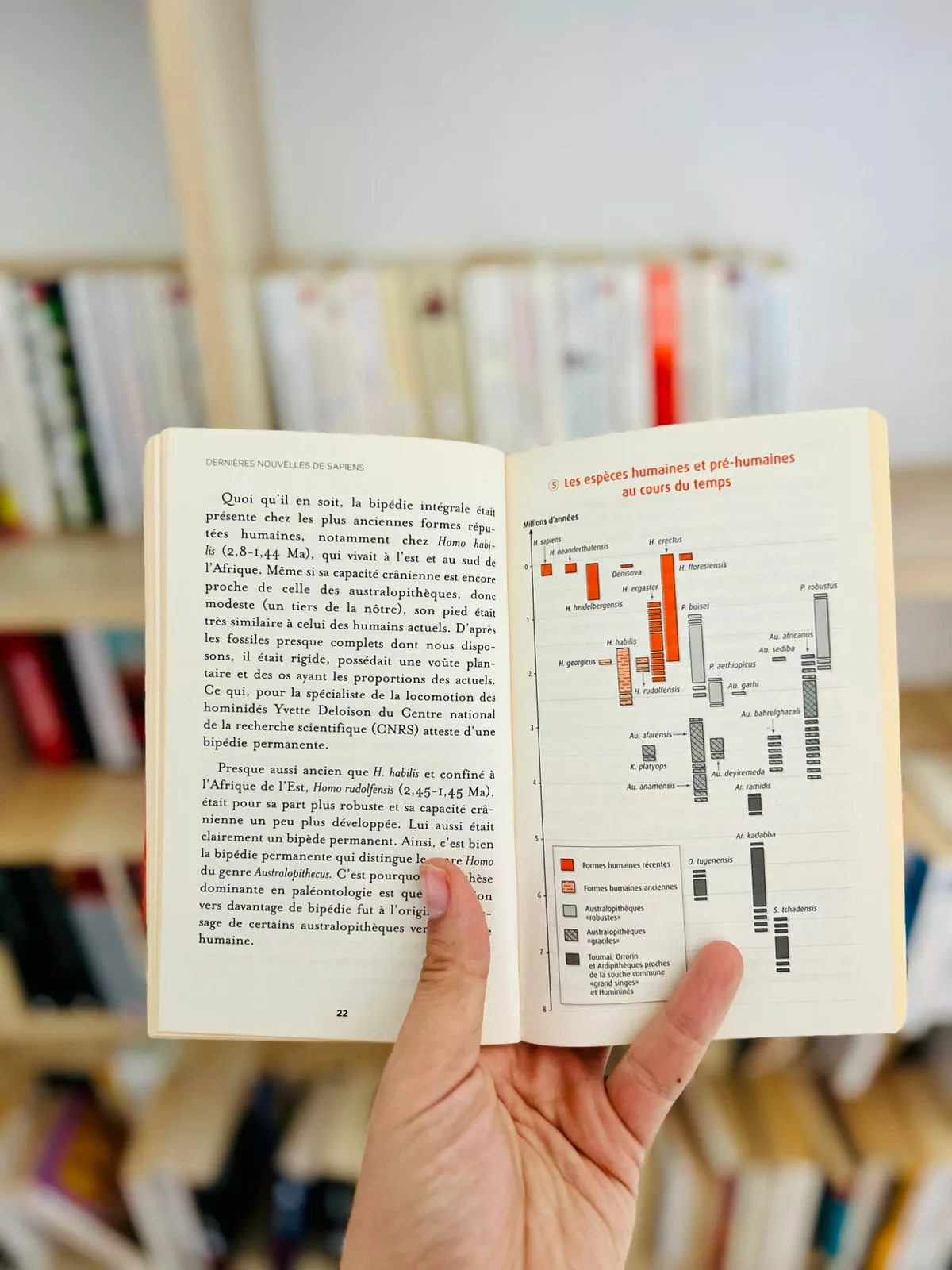 e687f268-081c-493e-a9d4-e3cb72777ff3