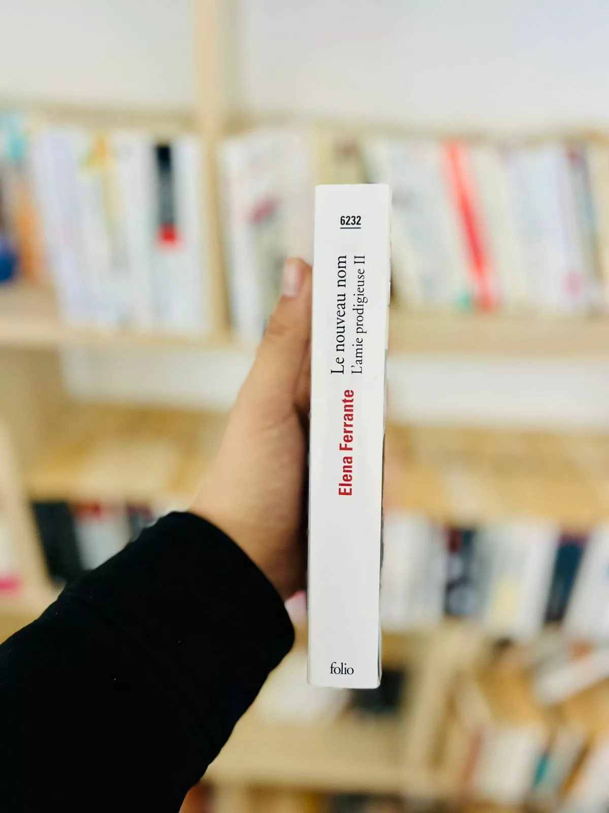 L’amie prodigieuse: Le nouveau nom