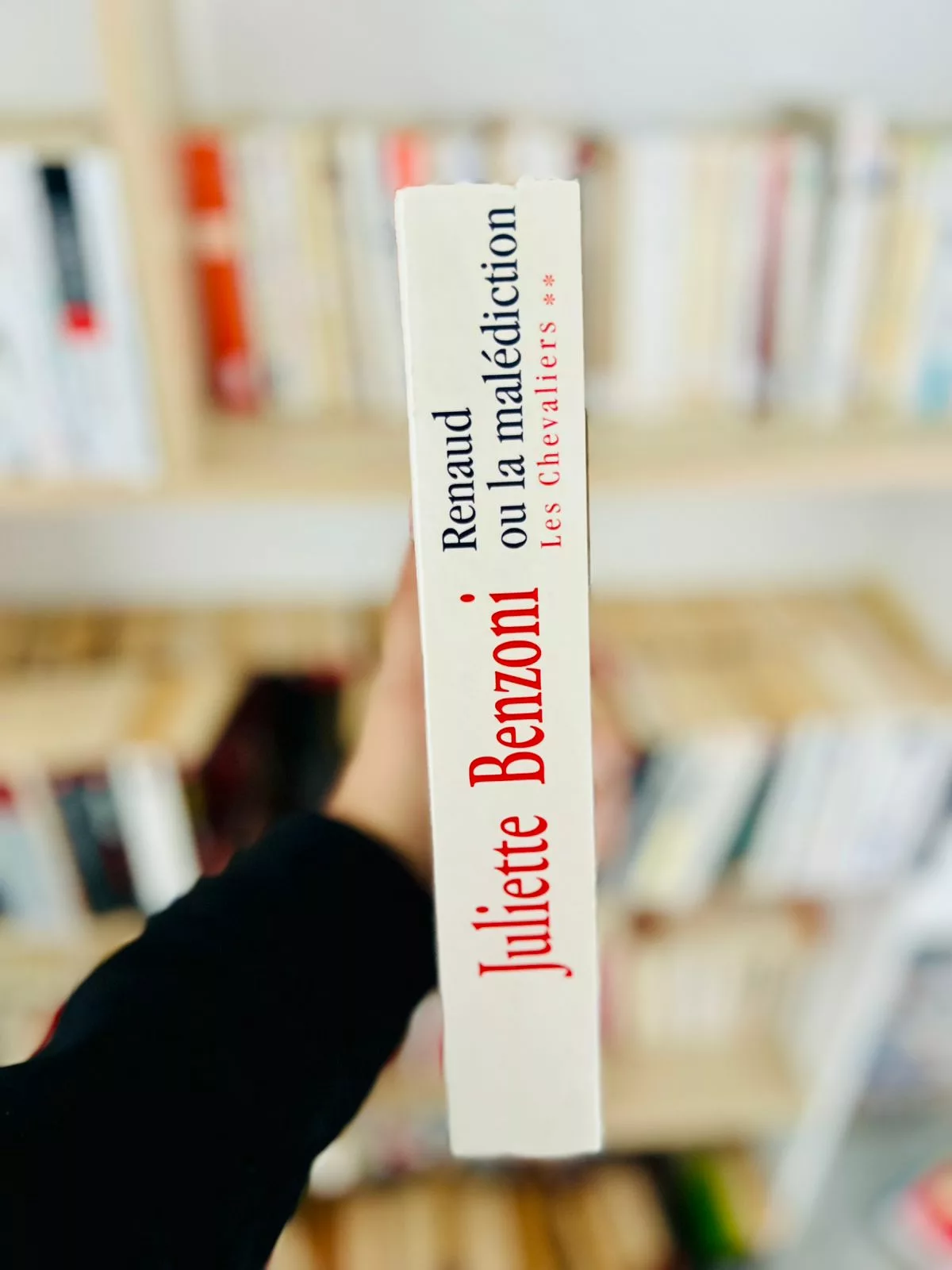 Les Chevaliers, tome 2 : Renaud ou la malédiction