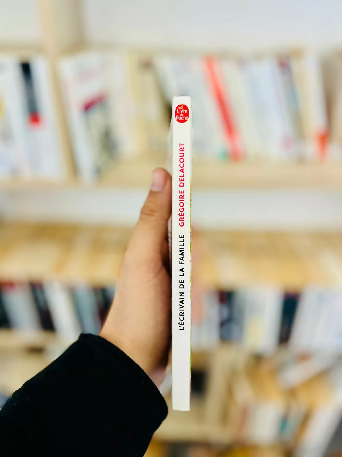 L’écrivain de la famille