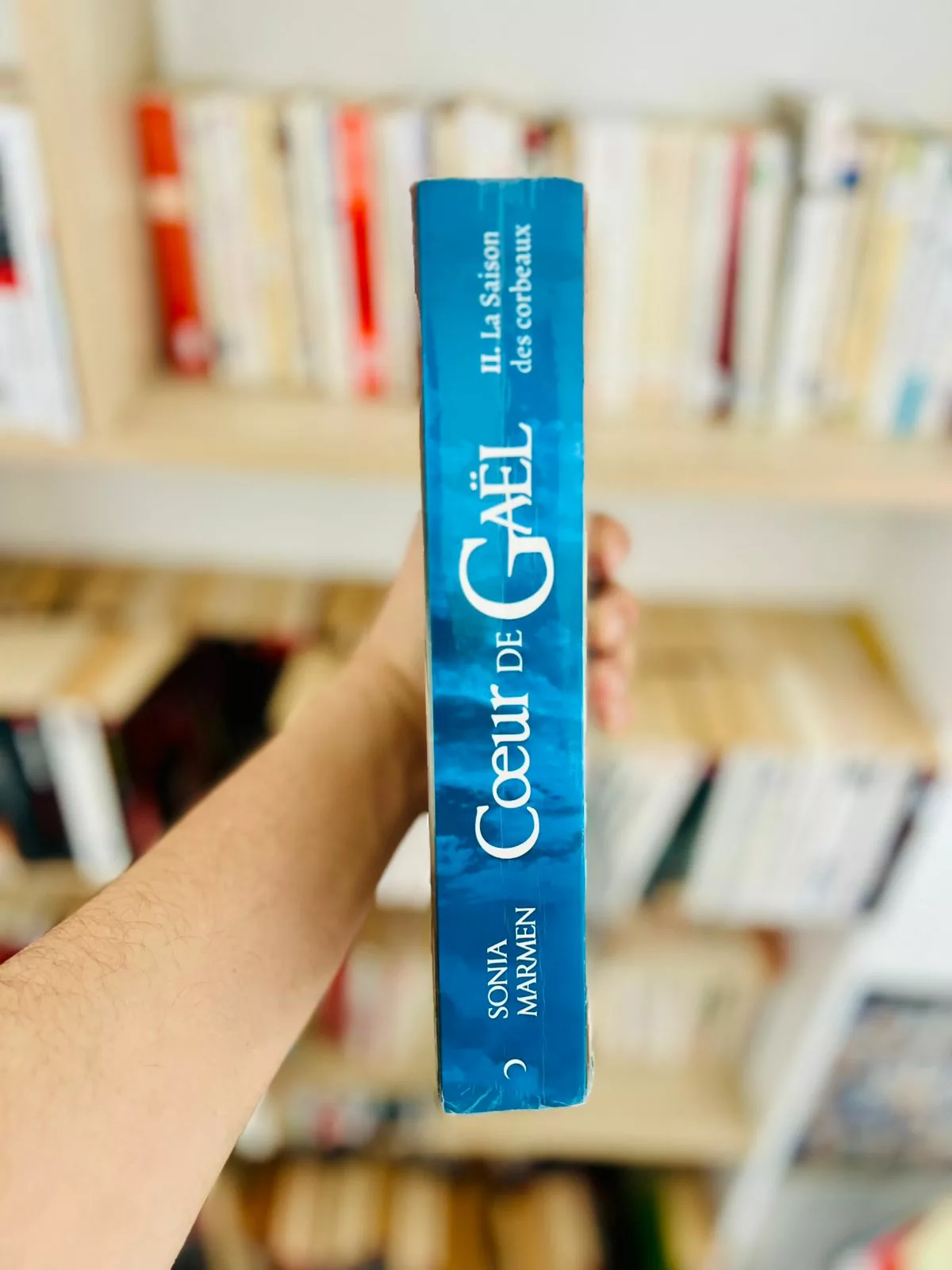 Coeur de Gael, tome 2 : La Saison des Corbeaux