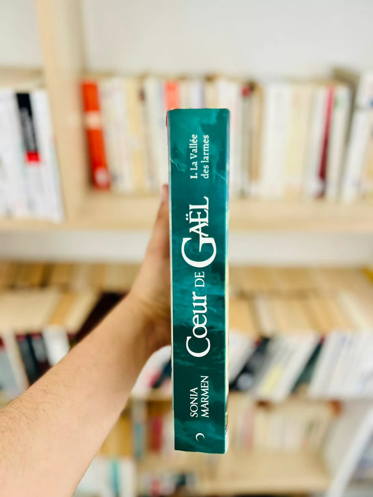 Coeur de Gaël, tome 1 : La Vallée des larmes