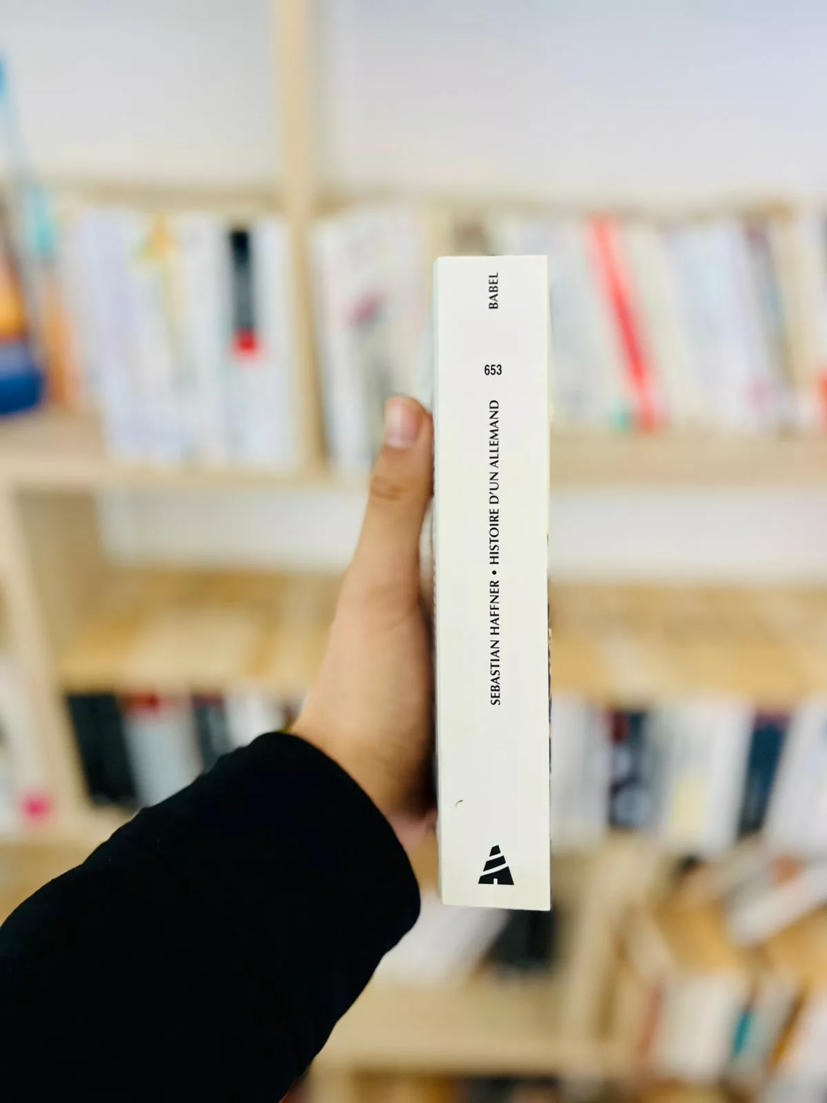 Histoire d’un Allemand : Souvenirs 1914-1933