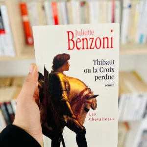 Les Chevaliers: Thibaut ou la croix perdue