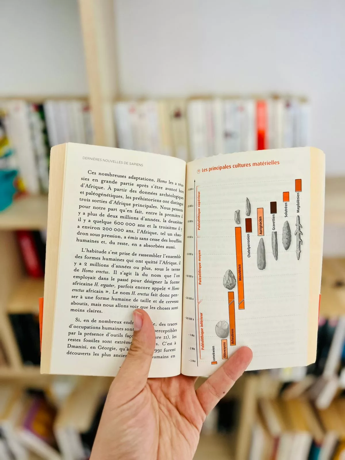 fe4cea70-0946-4125-9009-a083b7a8c64d