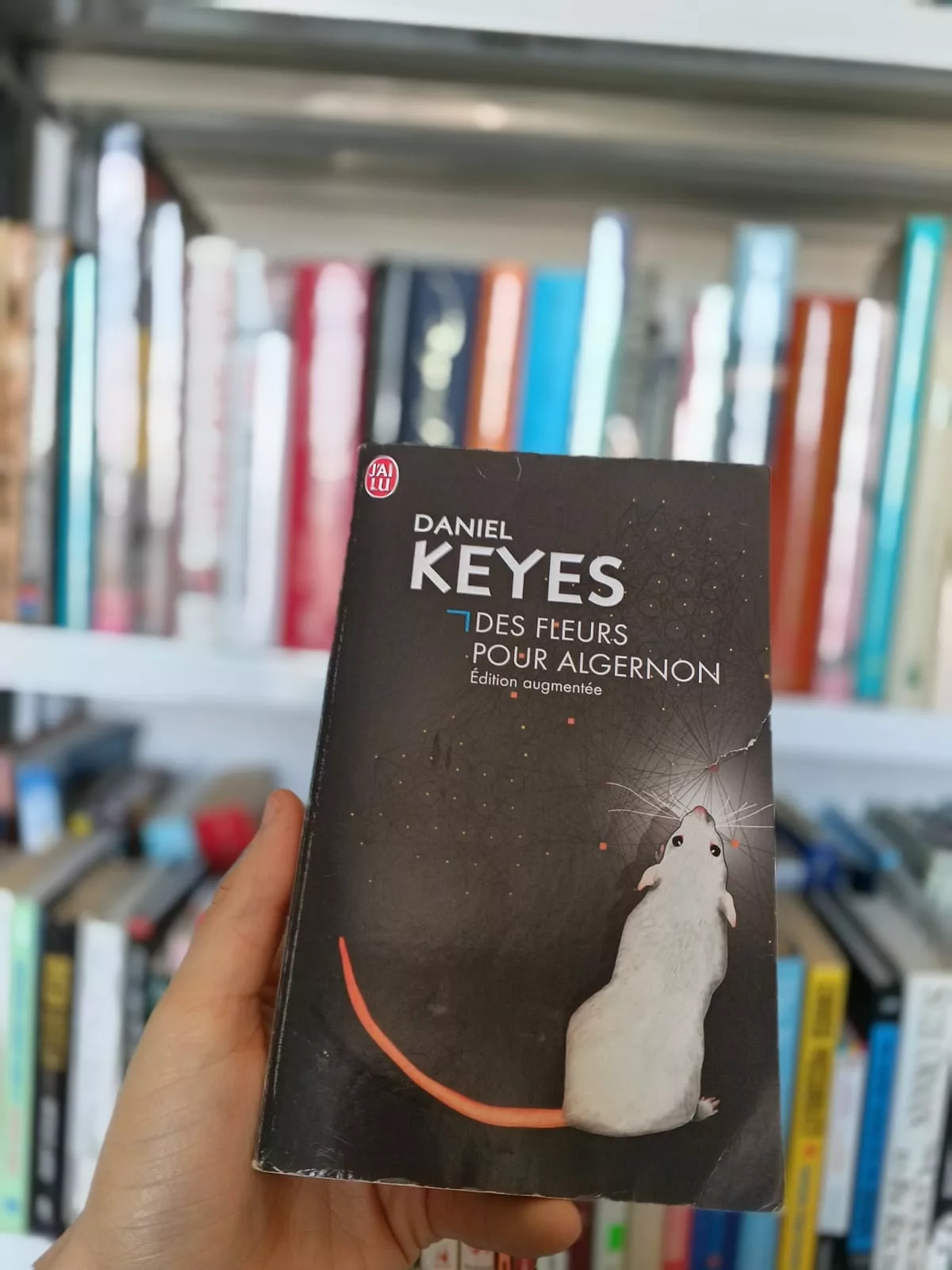 fed47442-0c4d-4ad5-ab2d-f99fd1d7f681