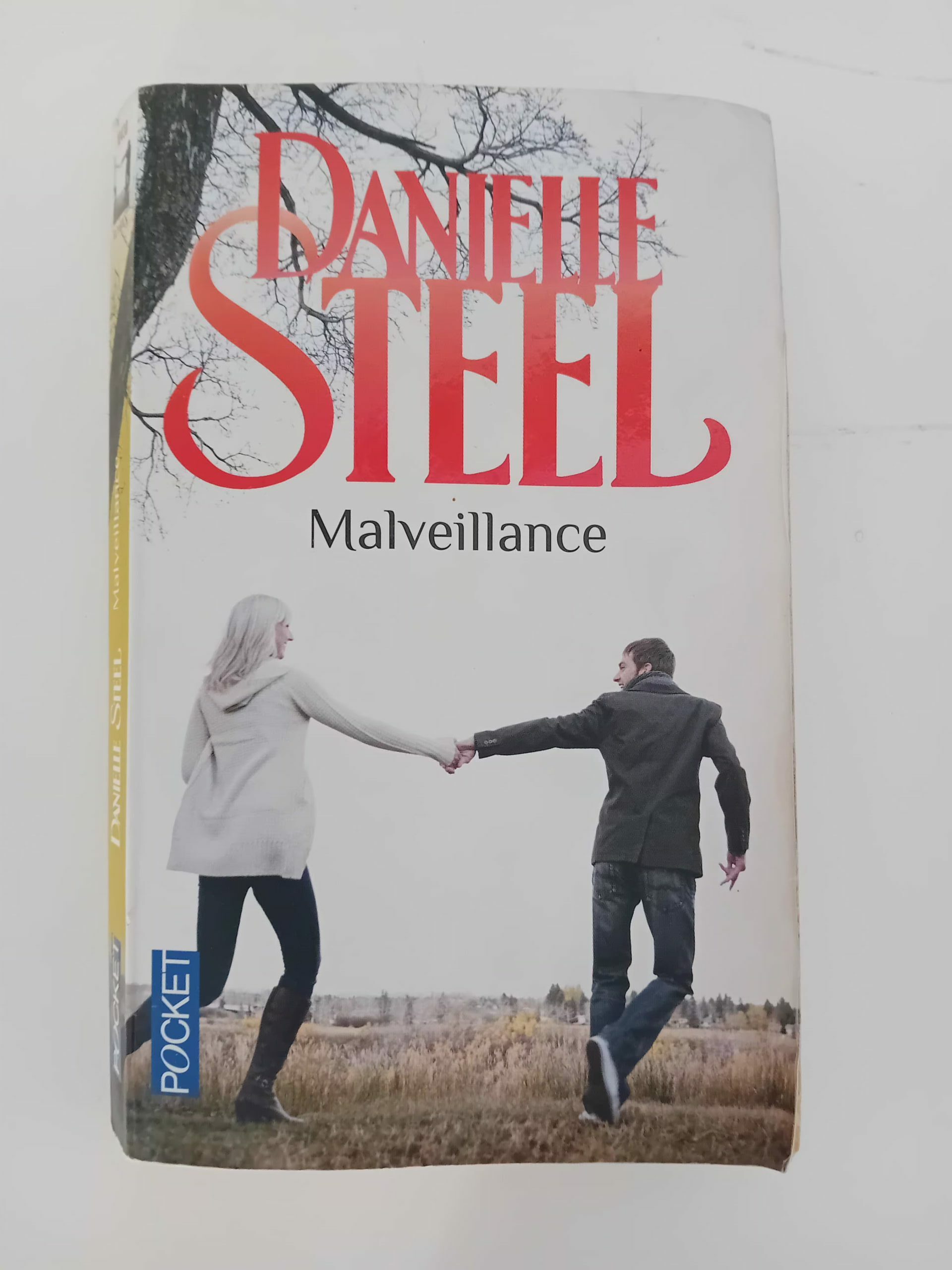 Malveillance de Danielle Steel