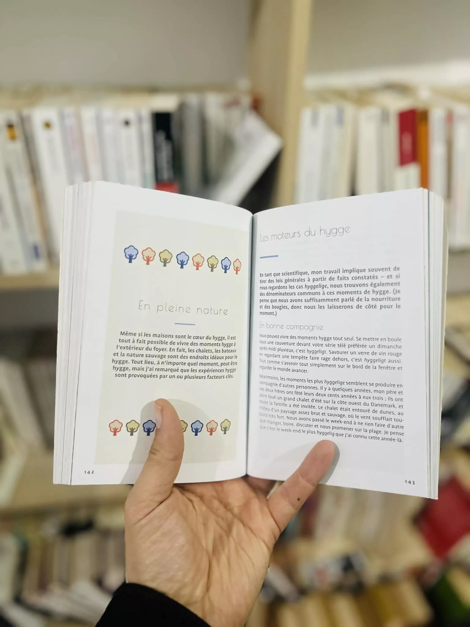 007ae598-10a8-4ce2-9fc9-87b7a51b9471