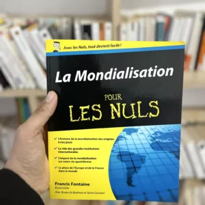 La mondialisation pour les nuls de Francis Fontaine, Brune De Bodman et Sylvie Goulard