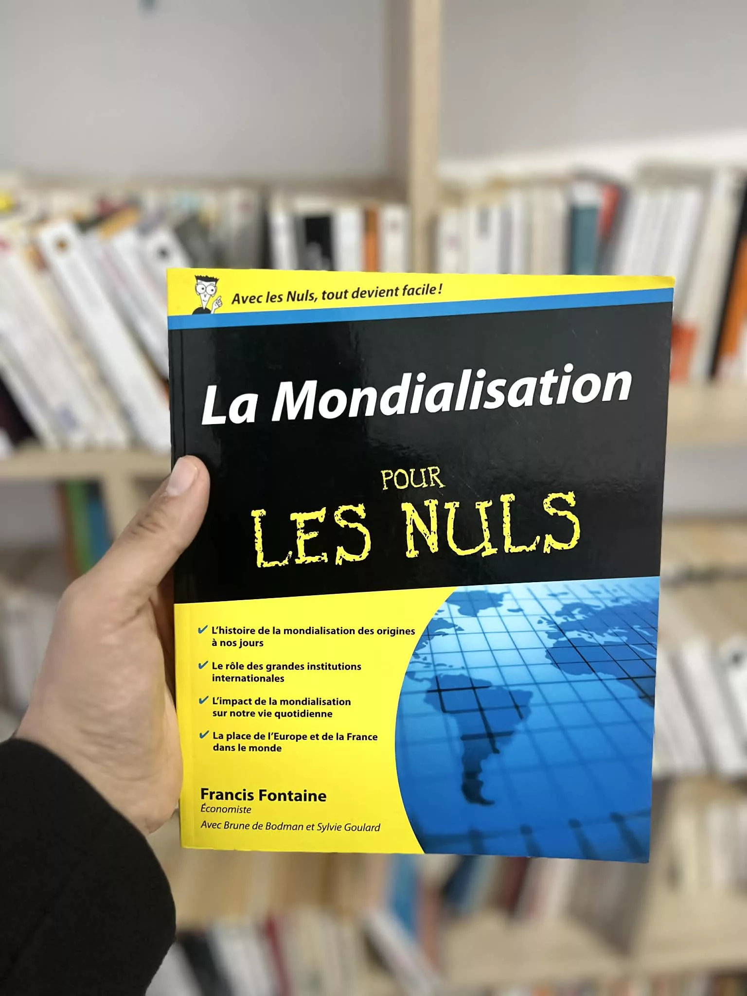 La mondialisation pour les nuls de Francis Fontaine, Brune De Bodman et Sylvie Goulard