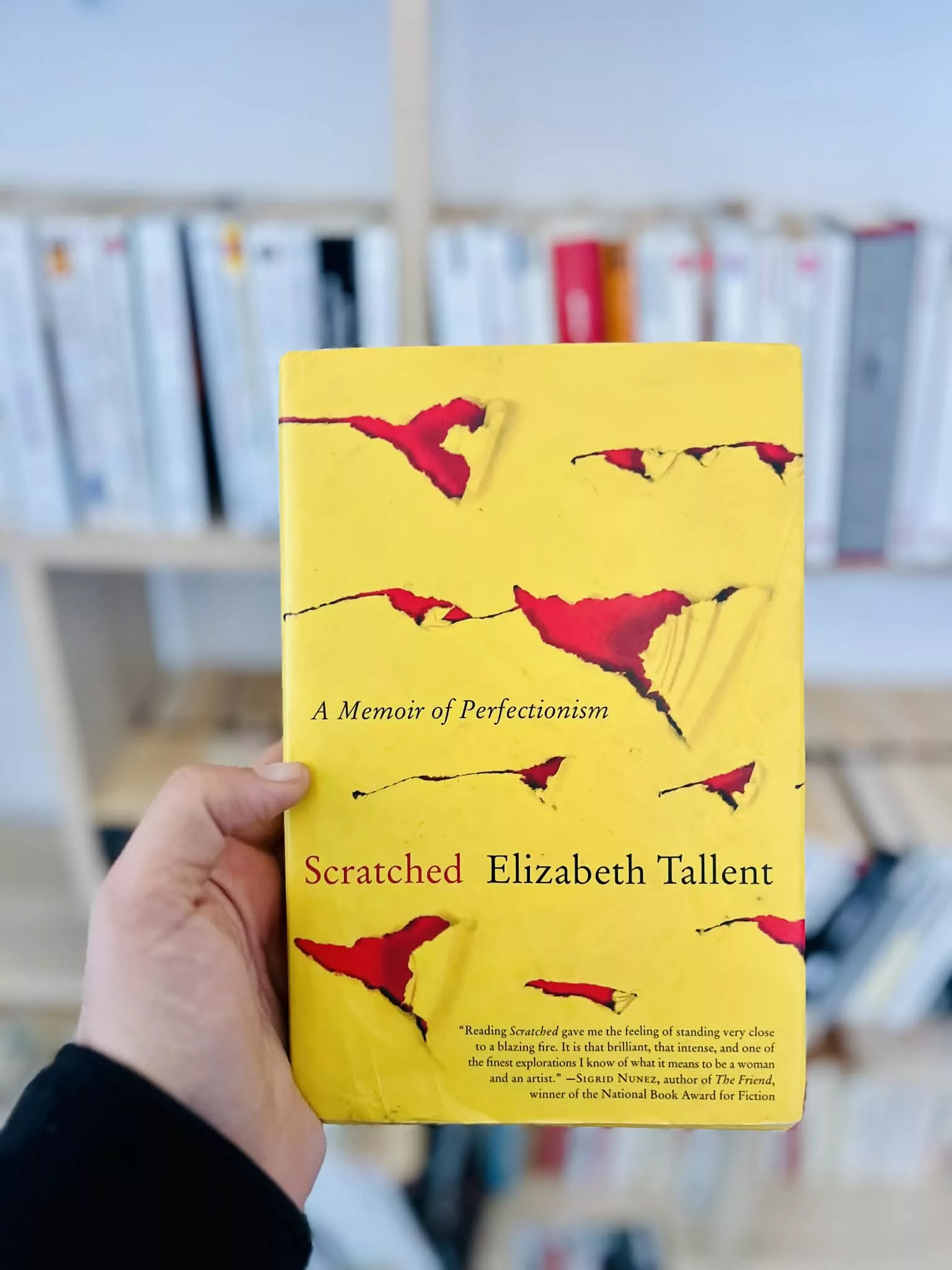 Scratched: A Memoir of Perfectionism