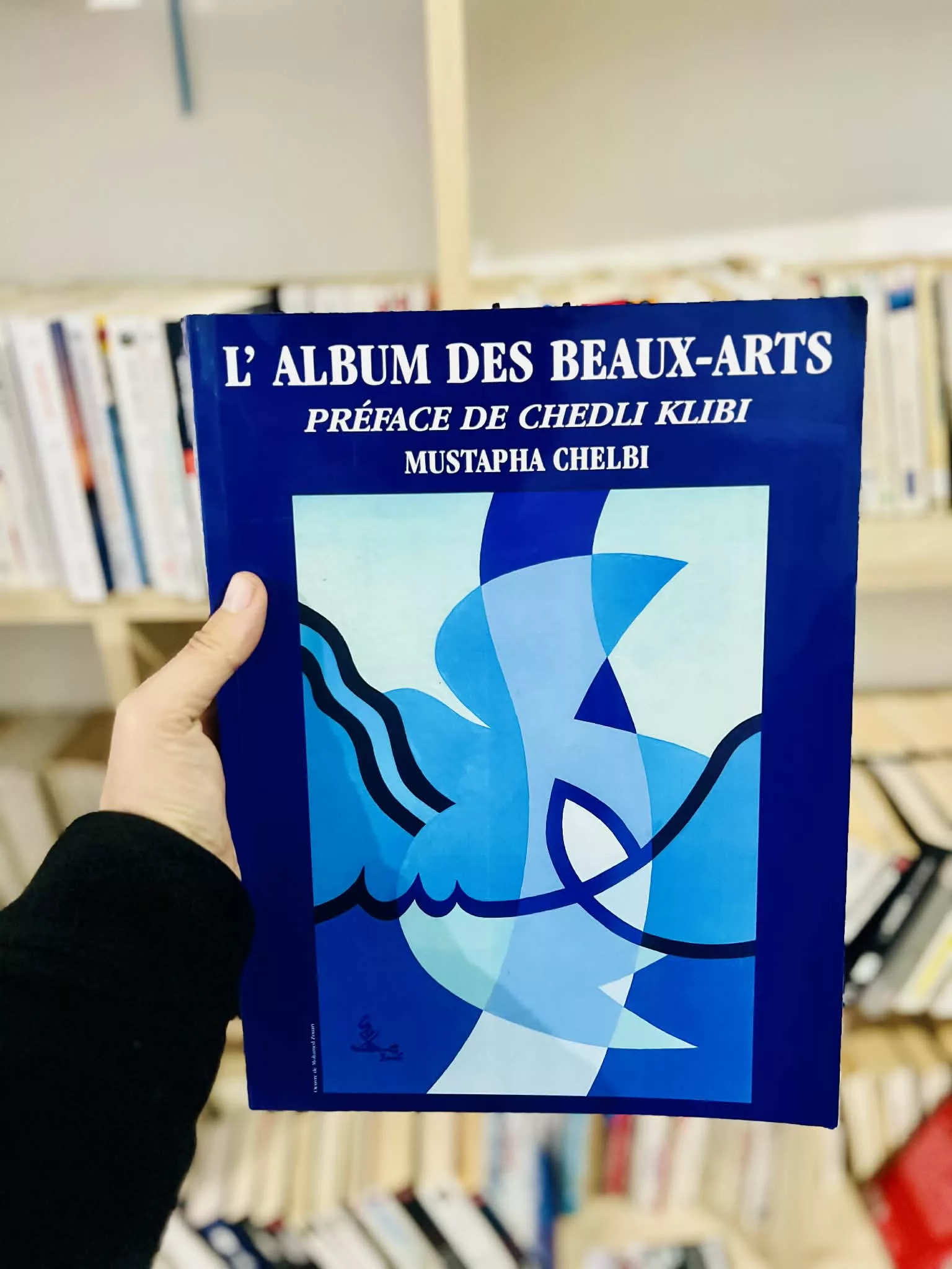 L’Album des Beaux Arts de Mustapha Chelbi