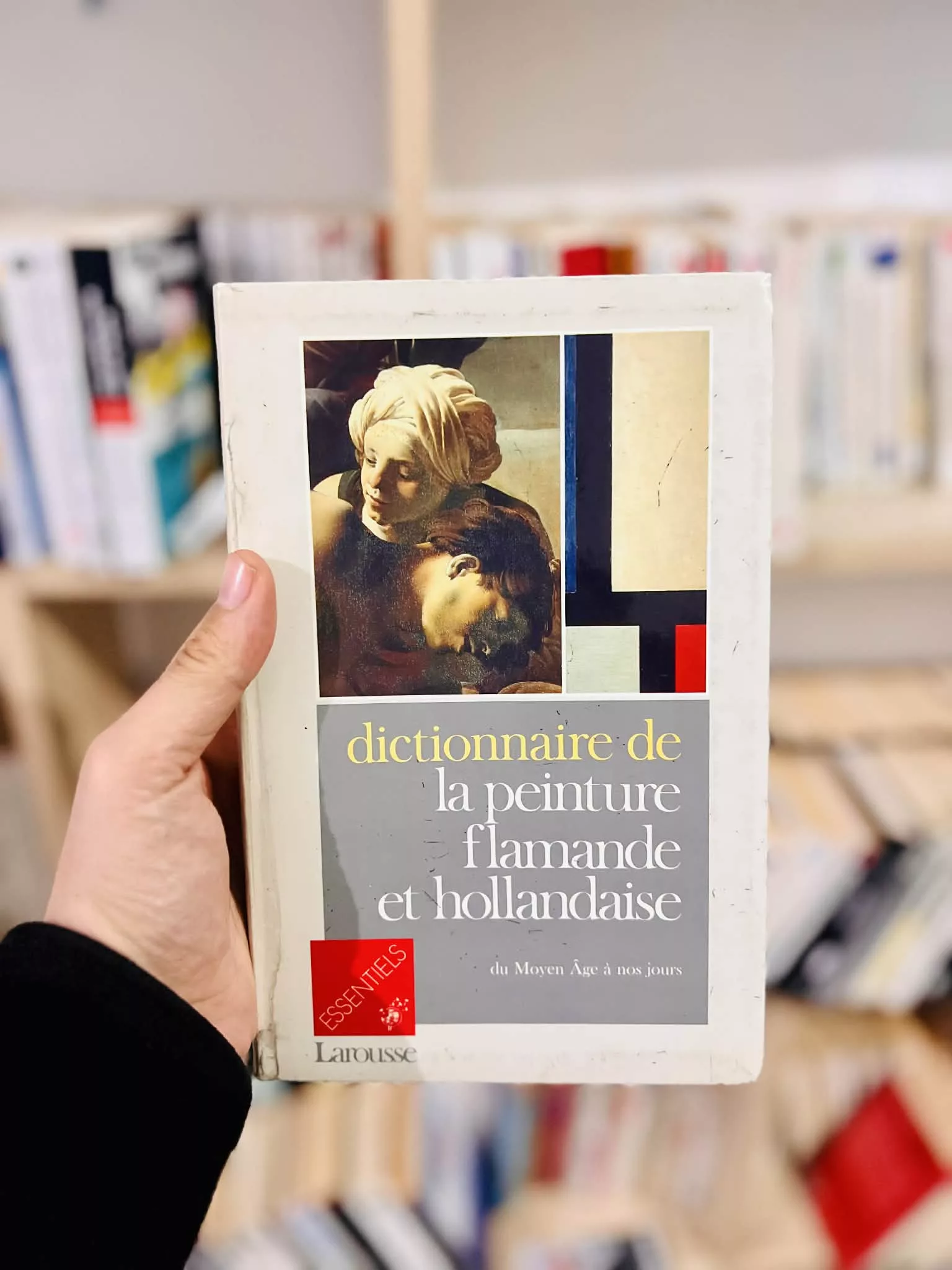 Dictionnaire de la peinture flamande et hollandaise: Du Moyen âge à nos jours