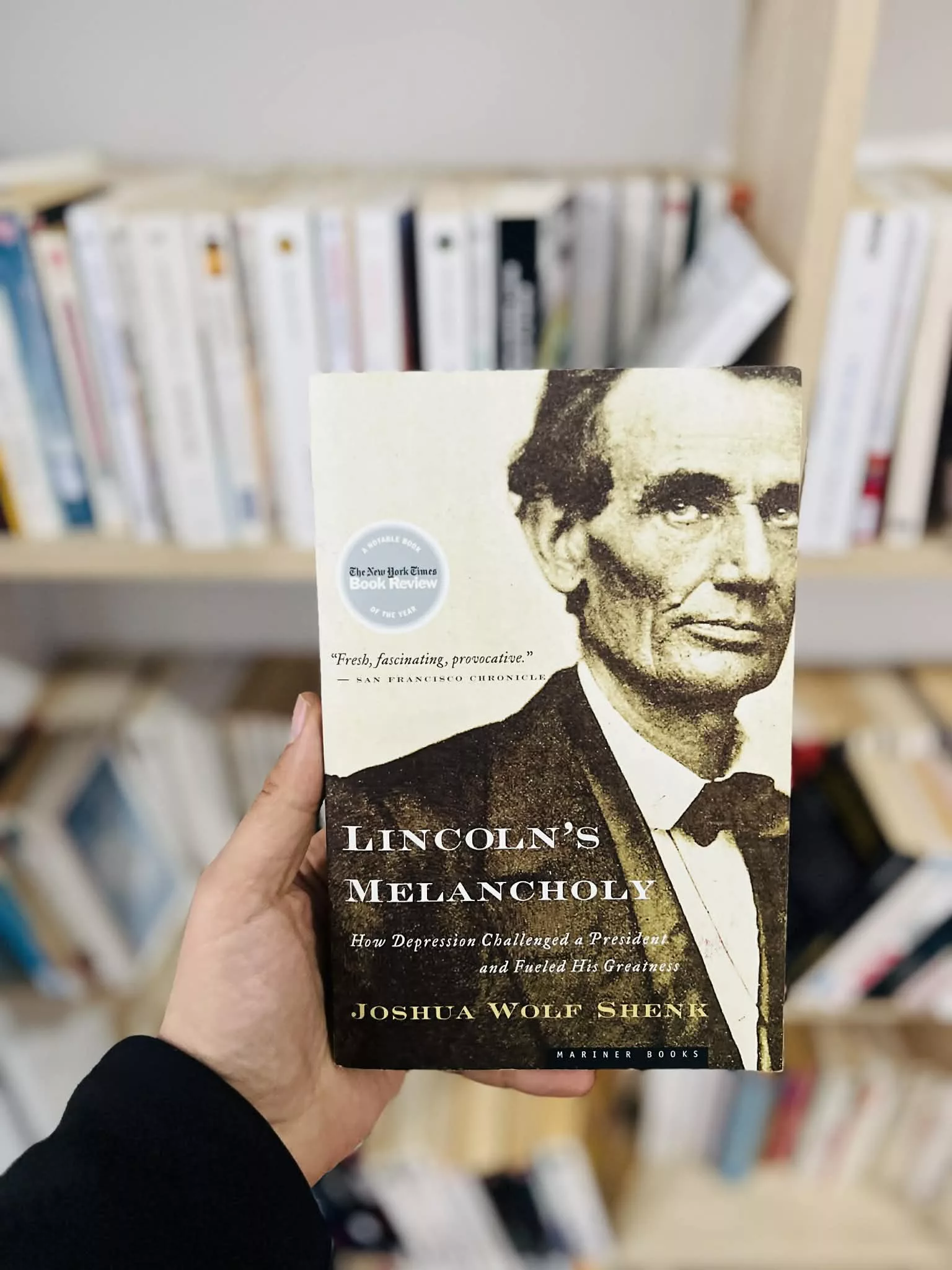 Lincoln’s Melancholy: How Depression Challenged a President and Fueled His Greatness – The Inner Life and Leadership of Abraham Lincoln by Joshua Wolf Shenk