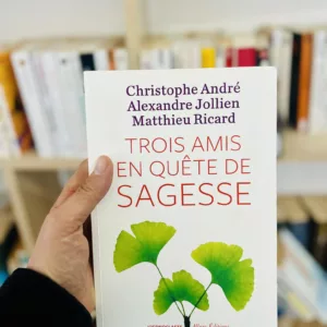Trois amis en quête de sagesse de Christophe André, Alexandre Jollien, Matthieu Ricard