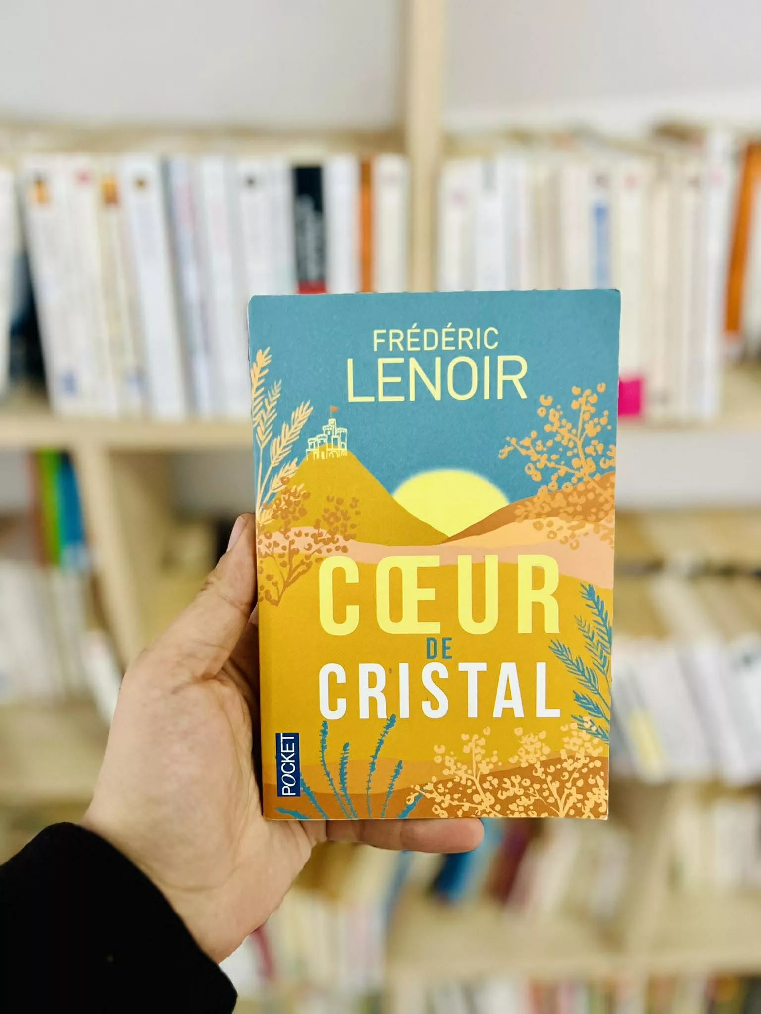 Coeur de cristal de Frédéric Lenoir