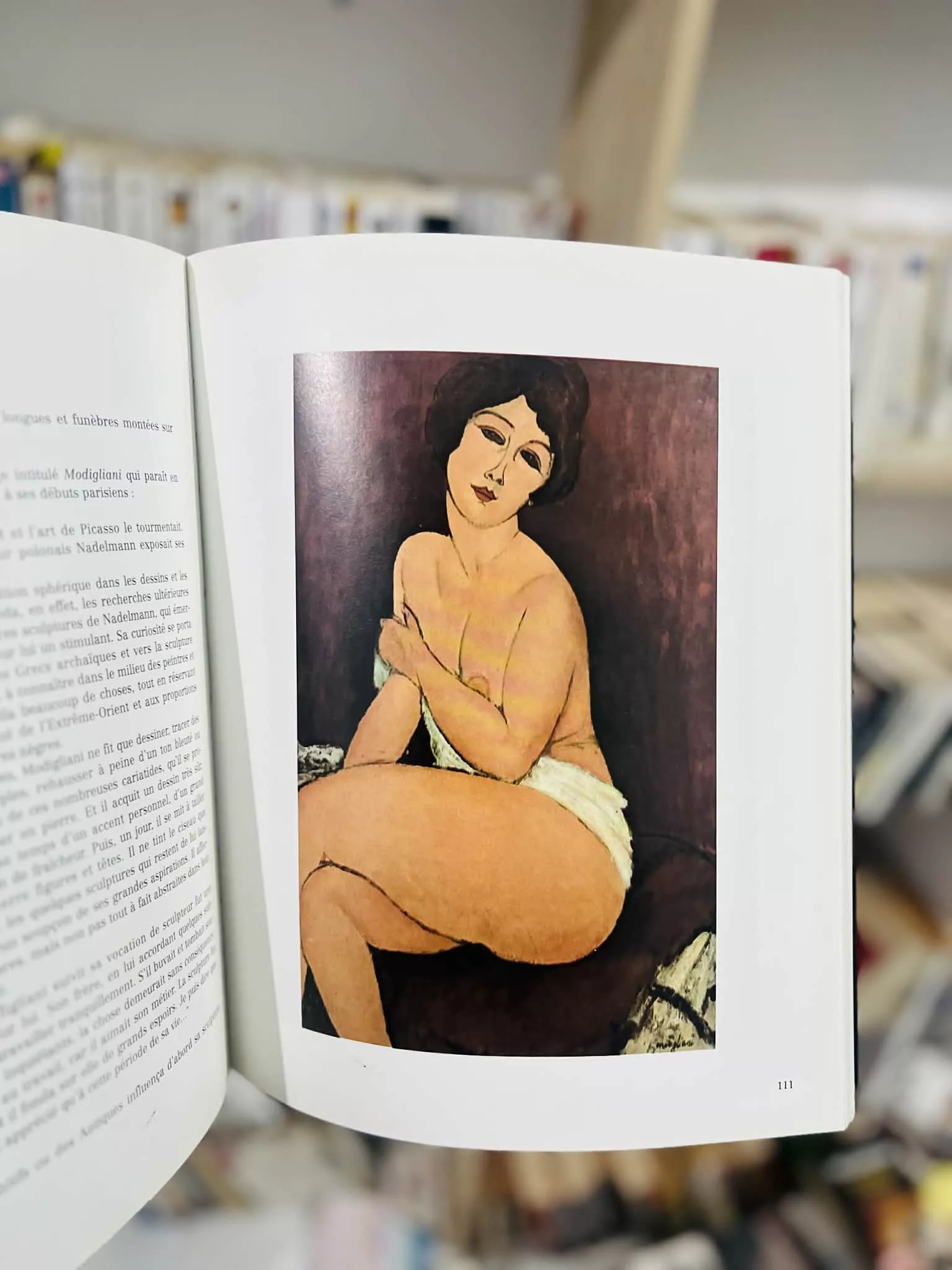 Modigliani de Christian Parisot