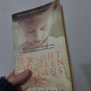 The Light Between Oceans by M.L. Stedman