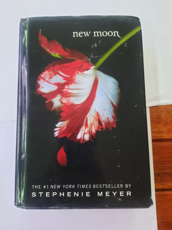 New moon 1 New moon