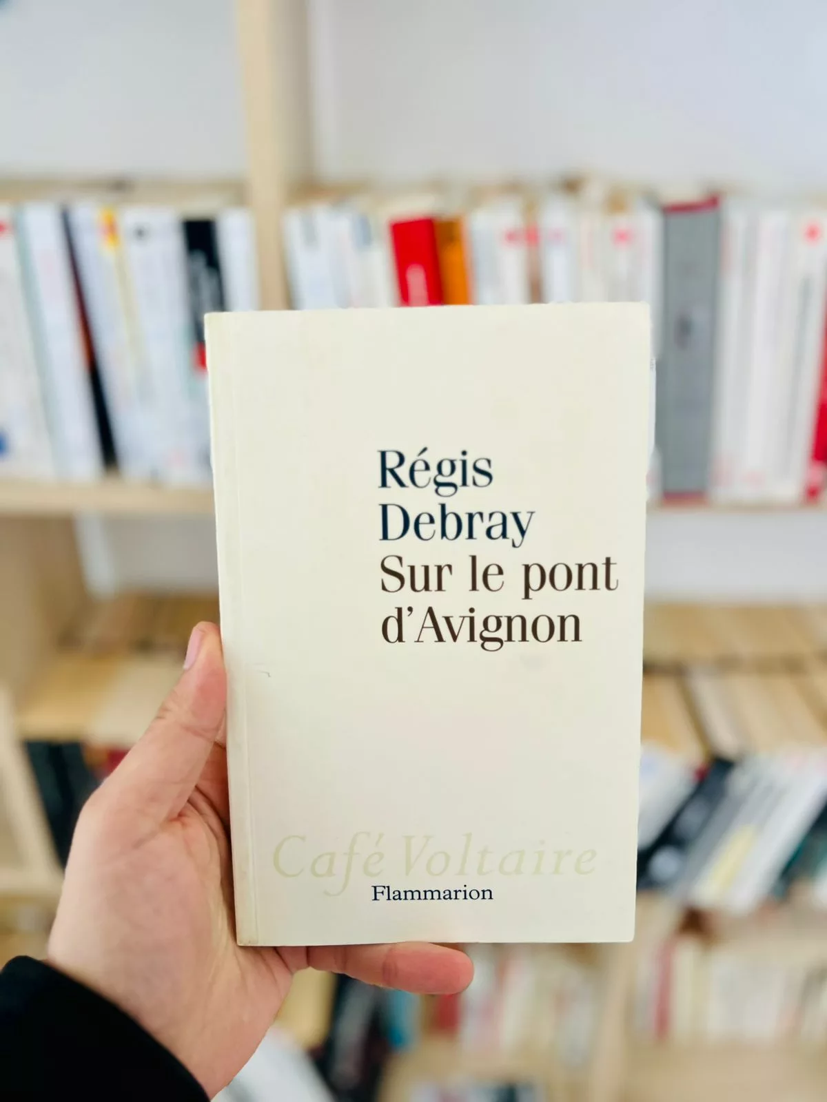 Sur le pont d’Avignon