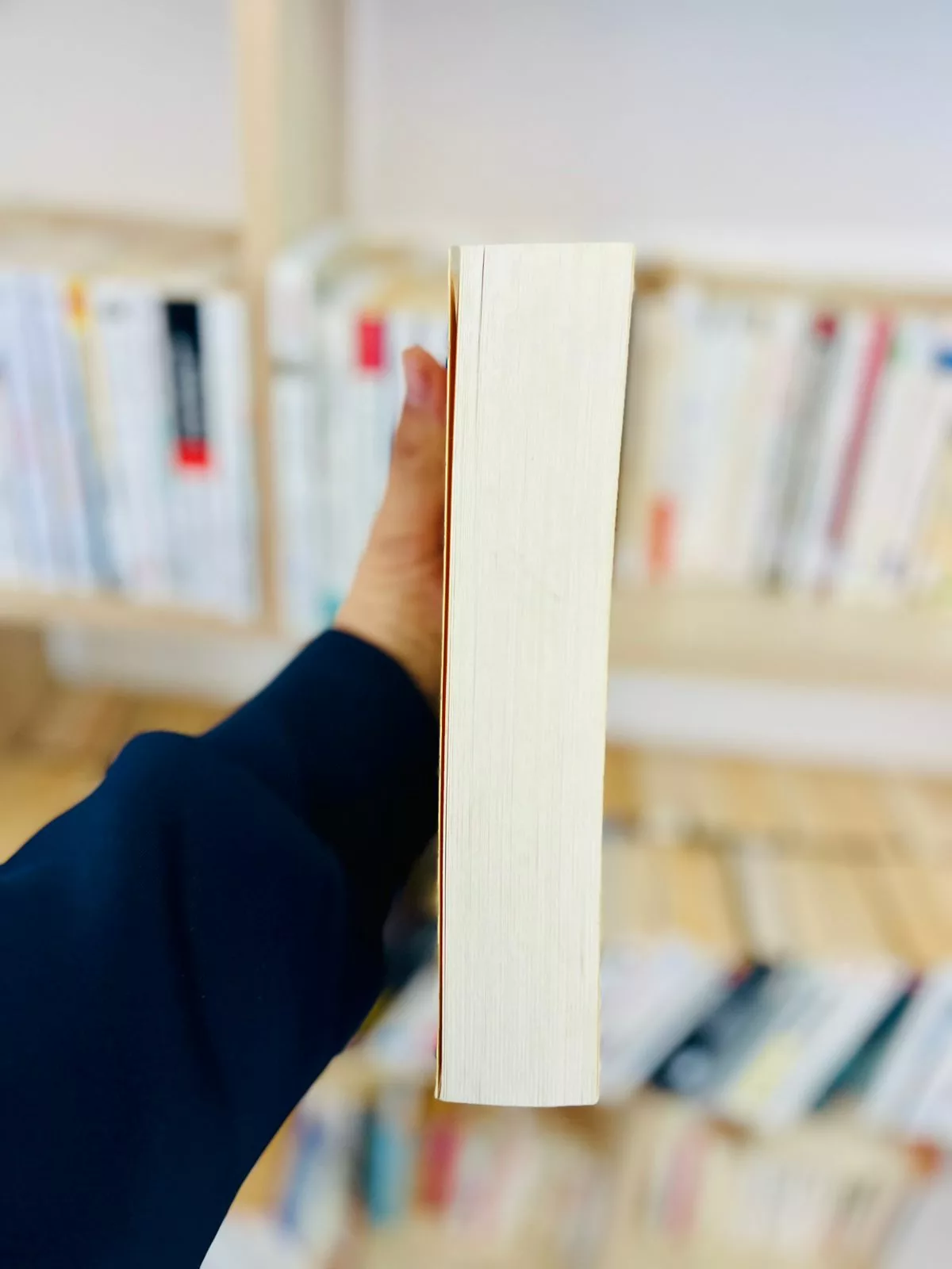 Monsieur Malaussène