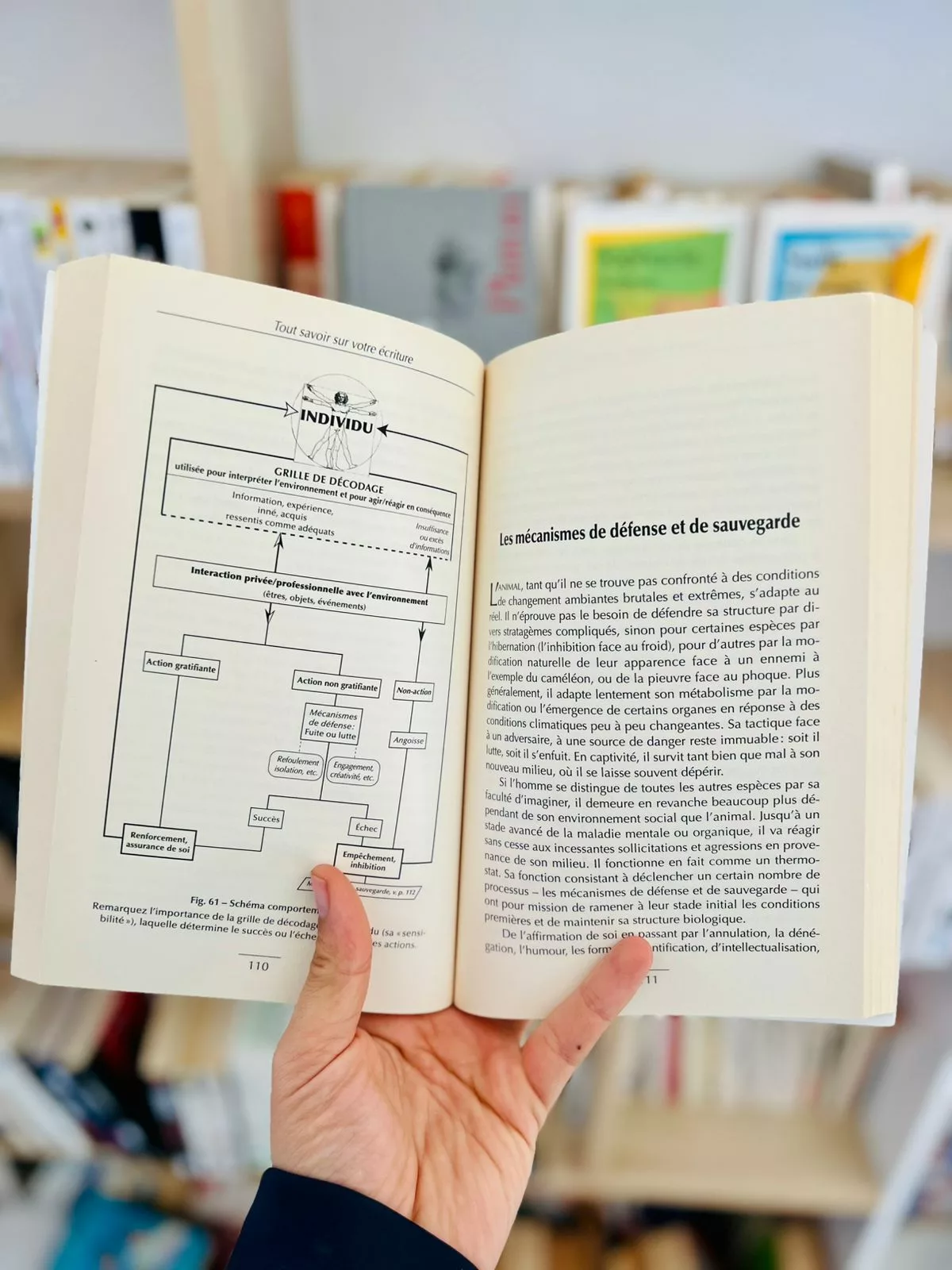 Tout savoir sur votre écriture