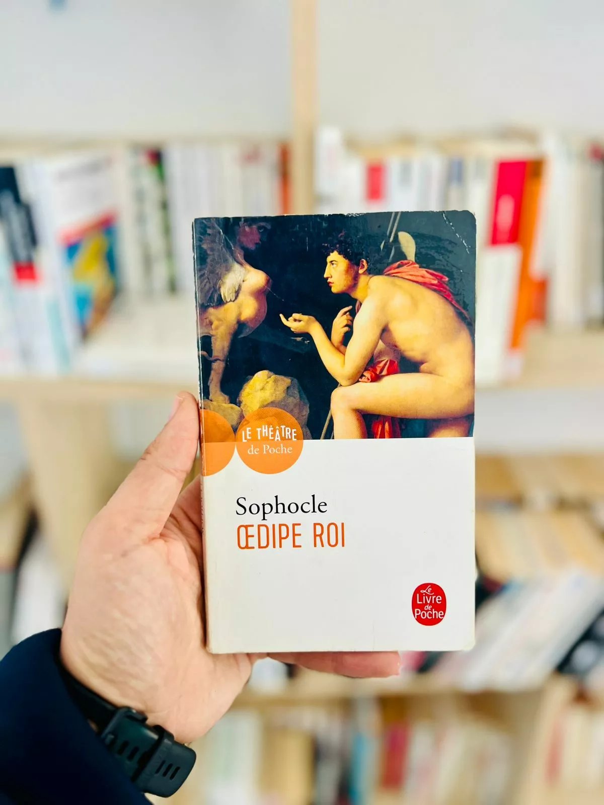 Oedipe roi