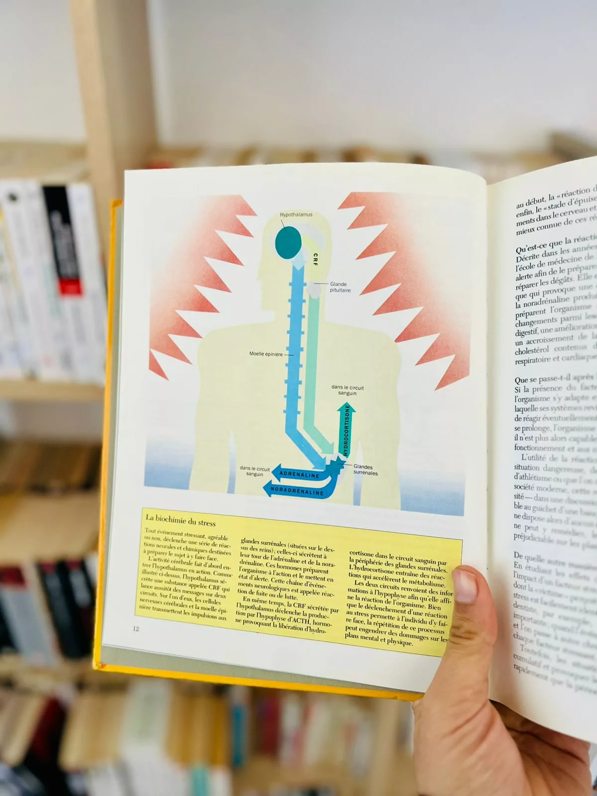 Vaincre le stress en toutes circonstances