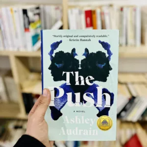 The Push by Ashley Audrain