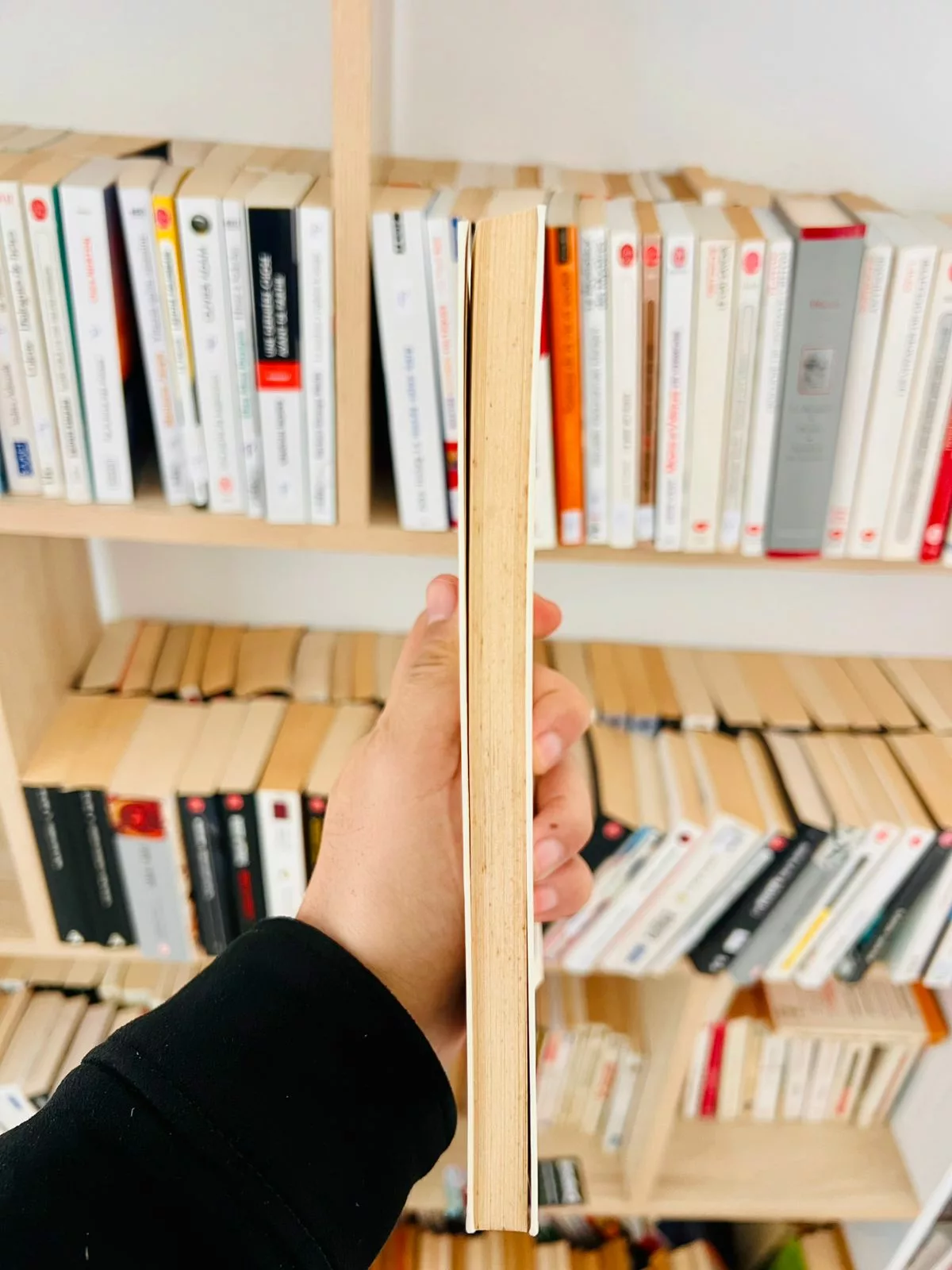 Sur le pont d’Avignon