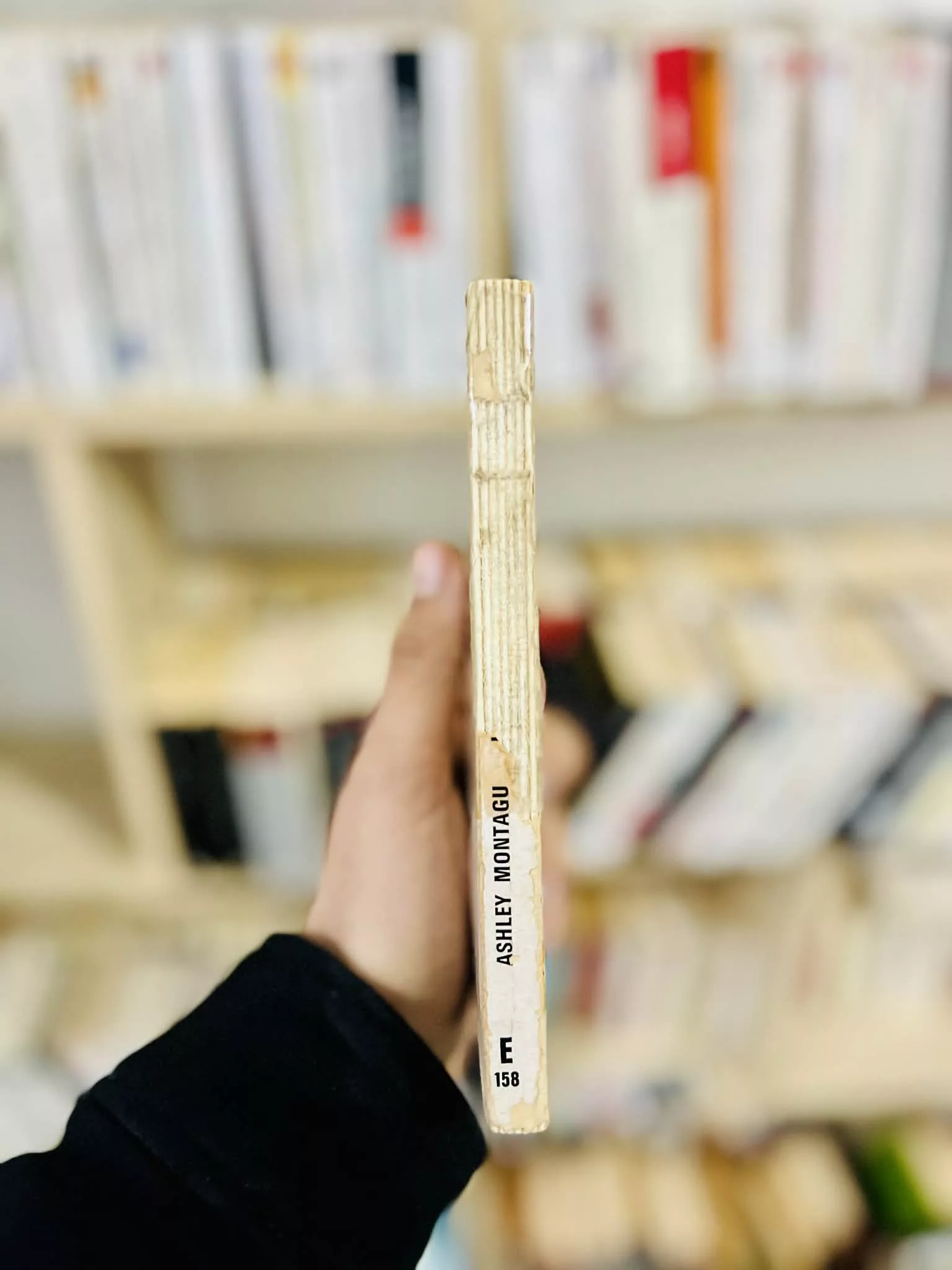 4cdcae07-794e-4244-896d-9f24d94fbef6