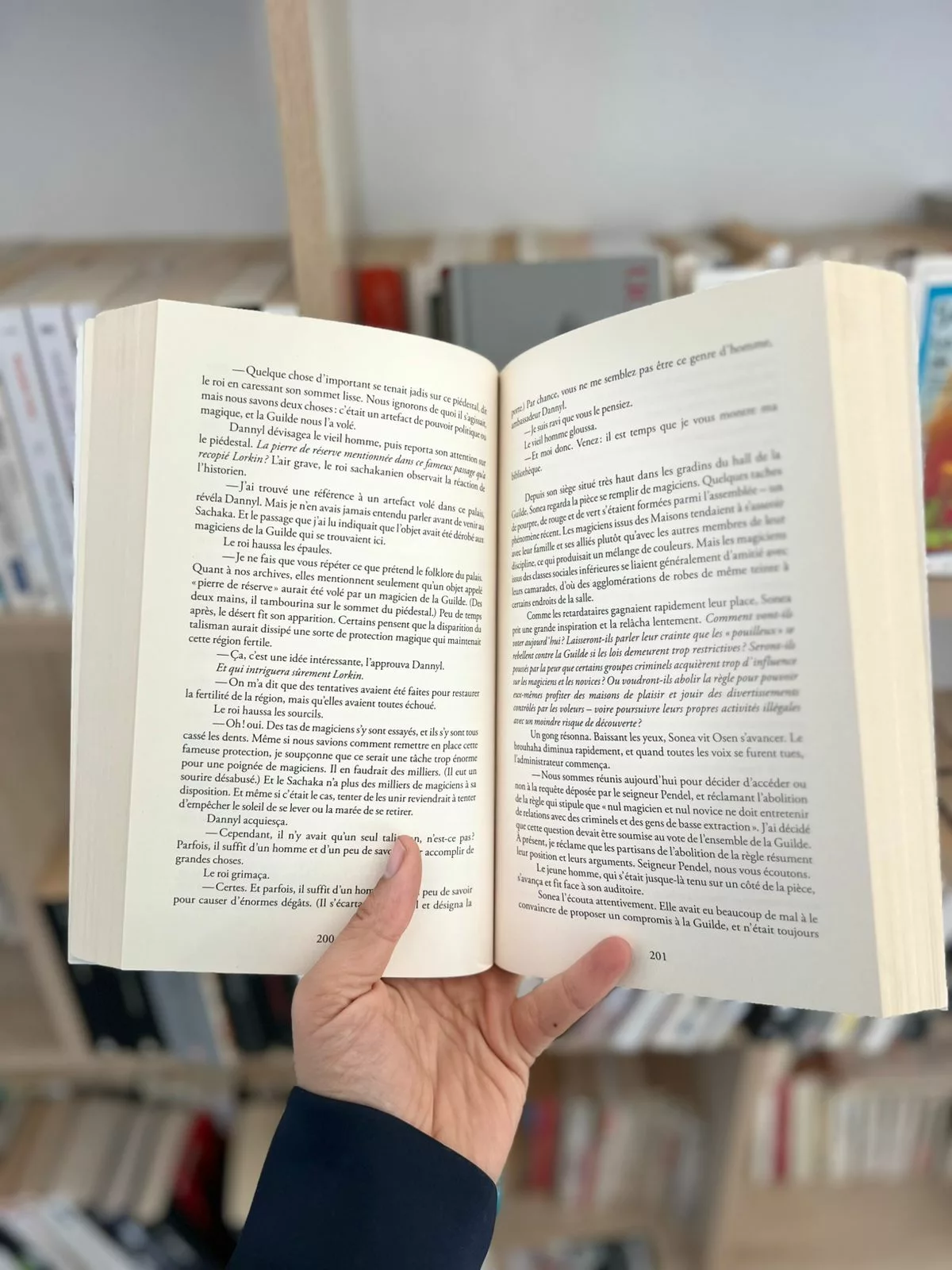 Les chroniques du magicien noir, tome 1 : la Mission de l’Ambassadeur