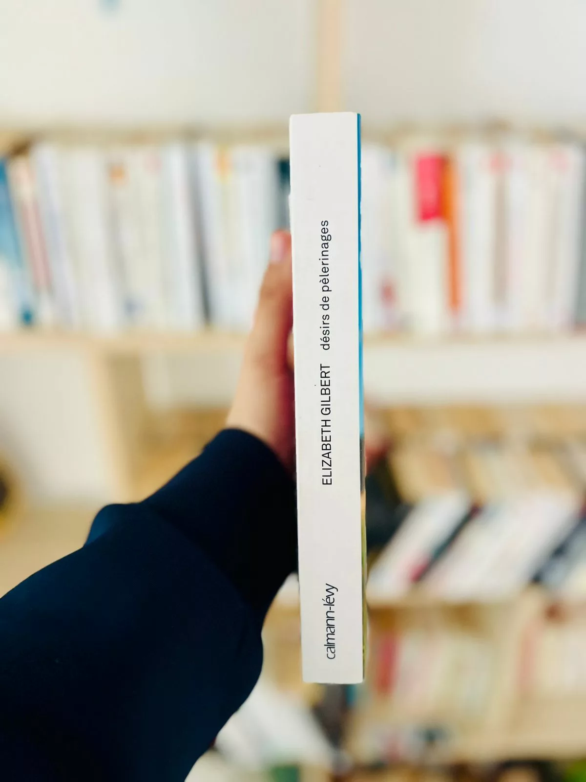 Désirs de pèlerinages