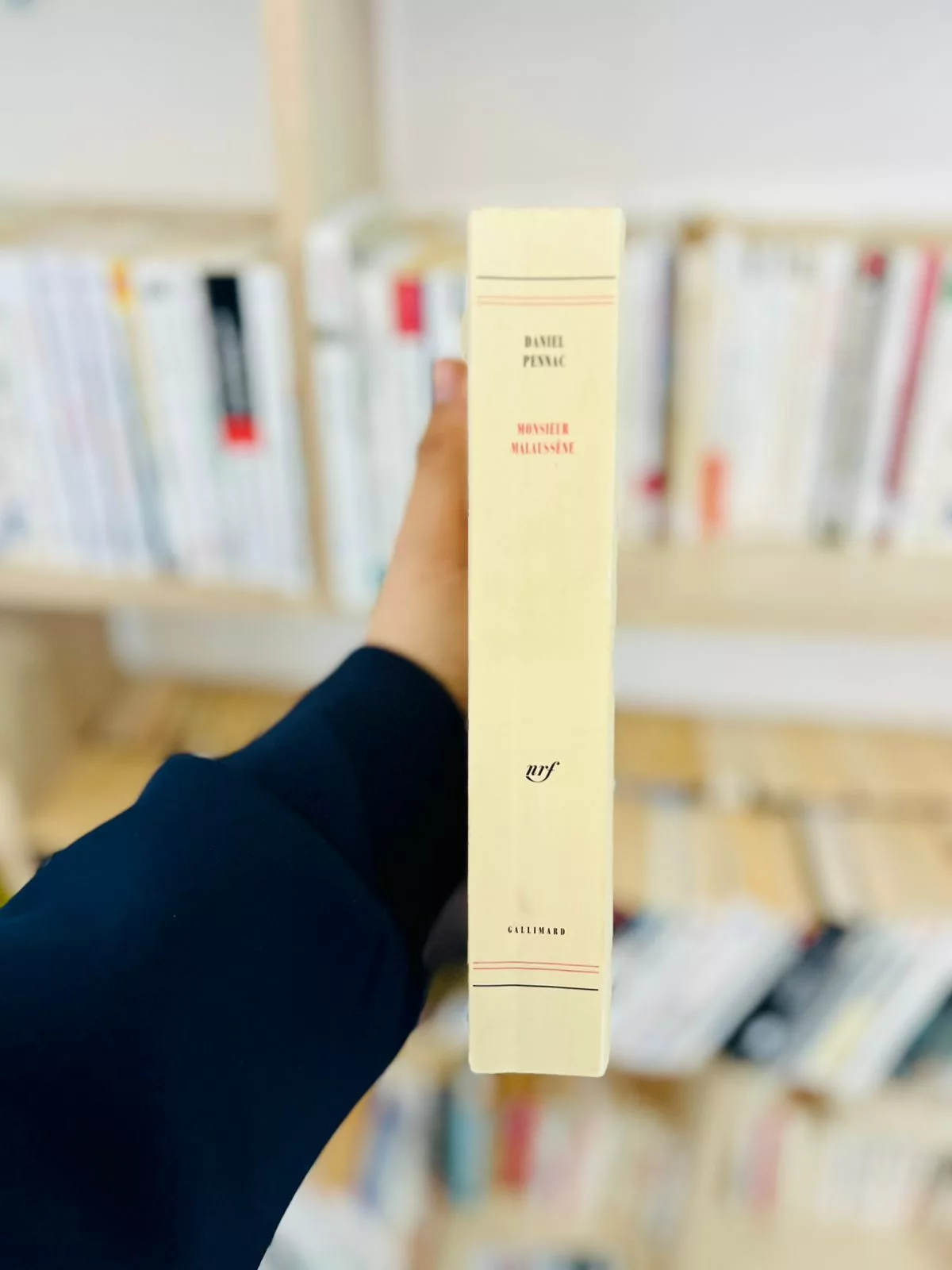 Monsieur Malaussène