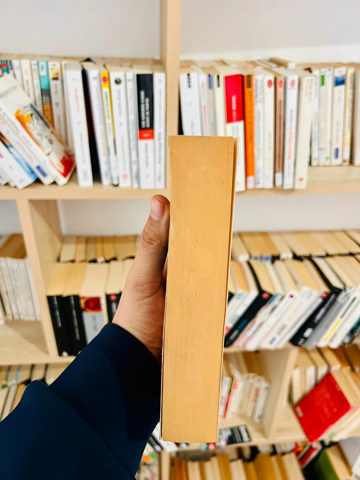 Cœurs perdus en Atlantide