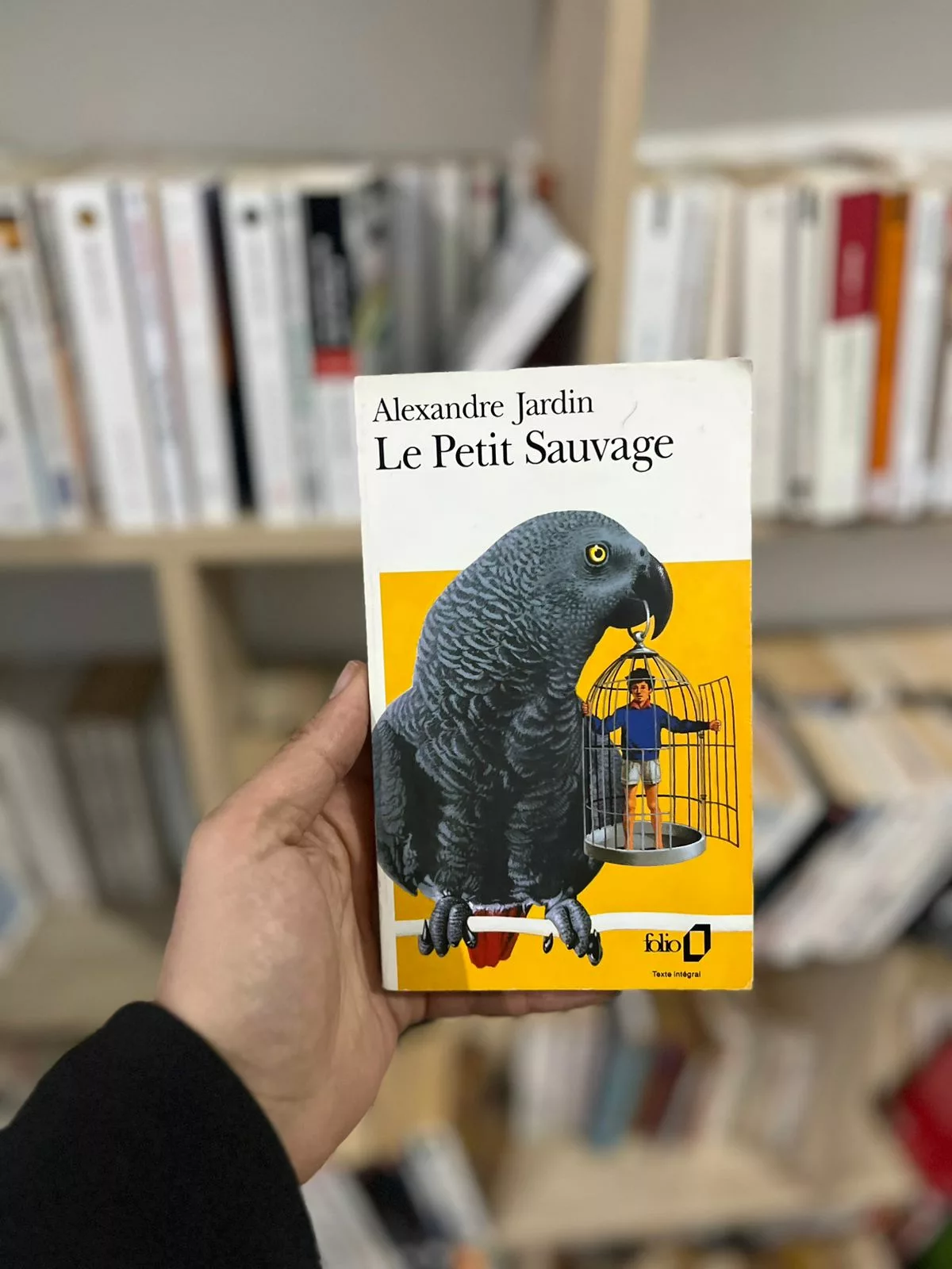 Le petit sauvage