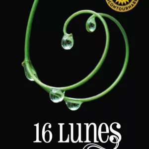 Saga Sublimes créatures - Tome 1 - 16 Lunes 4 61r7k0D5cML. SL1500