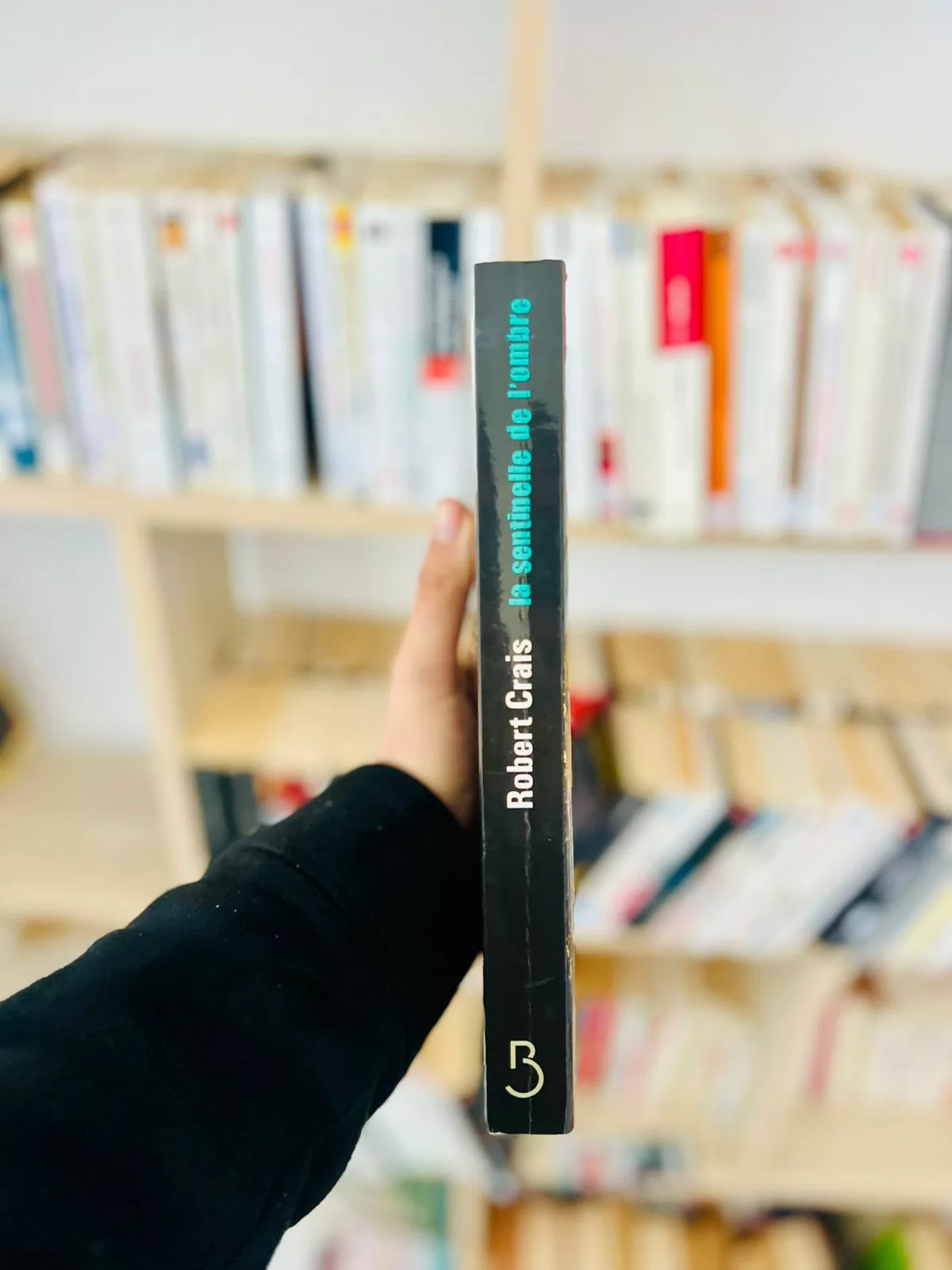 La sentinelle de l’ombre