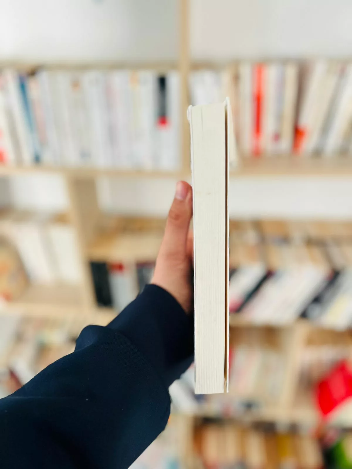 Une enquête de Pénélope : Intrigue à Giverny