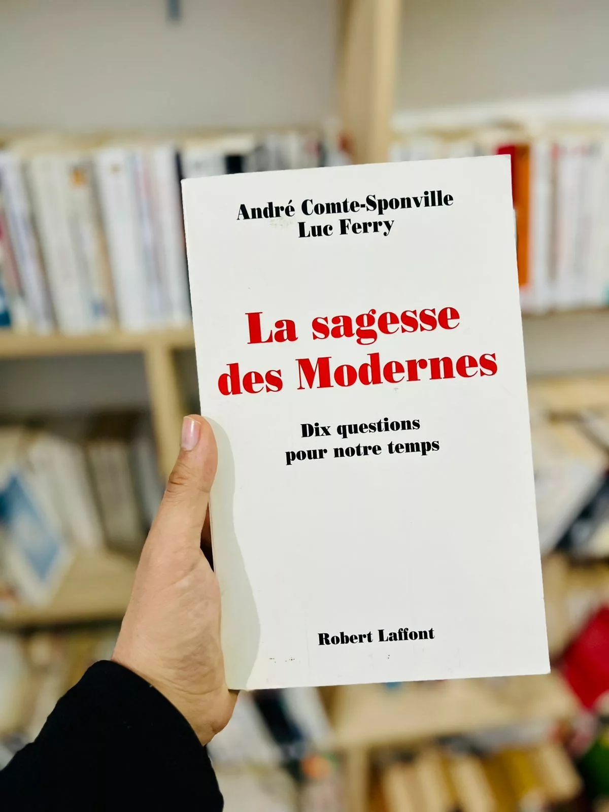 La sagesse des Modernes : Dix questions pour notre temps