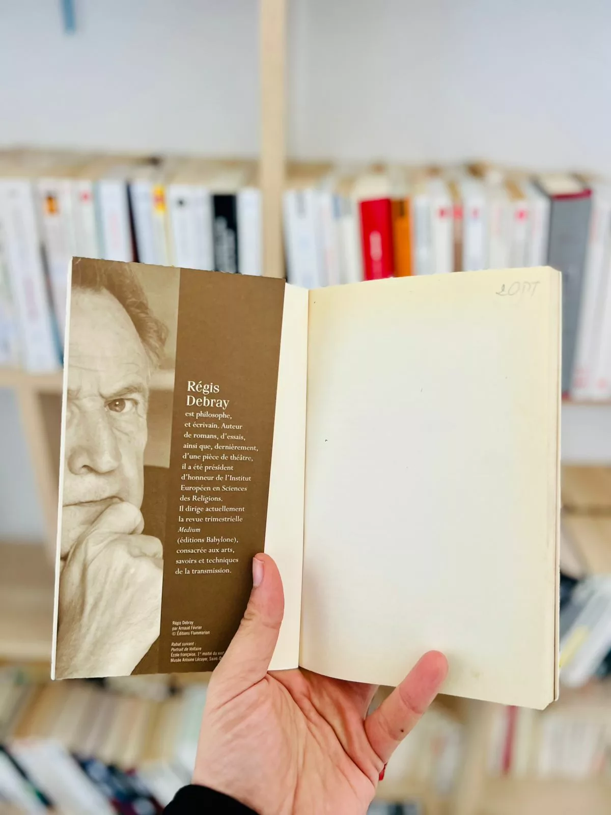 Sur le pont d’Avignon