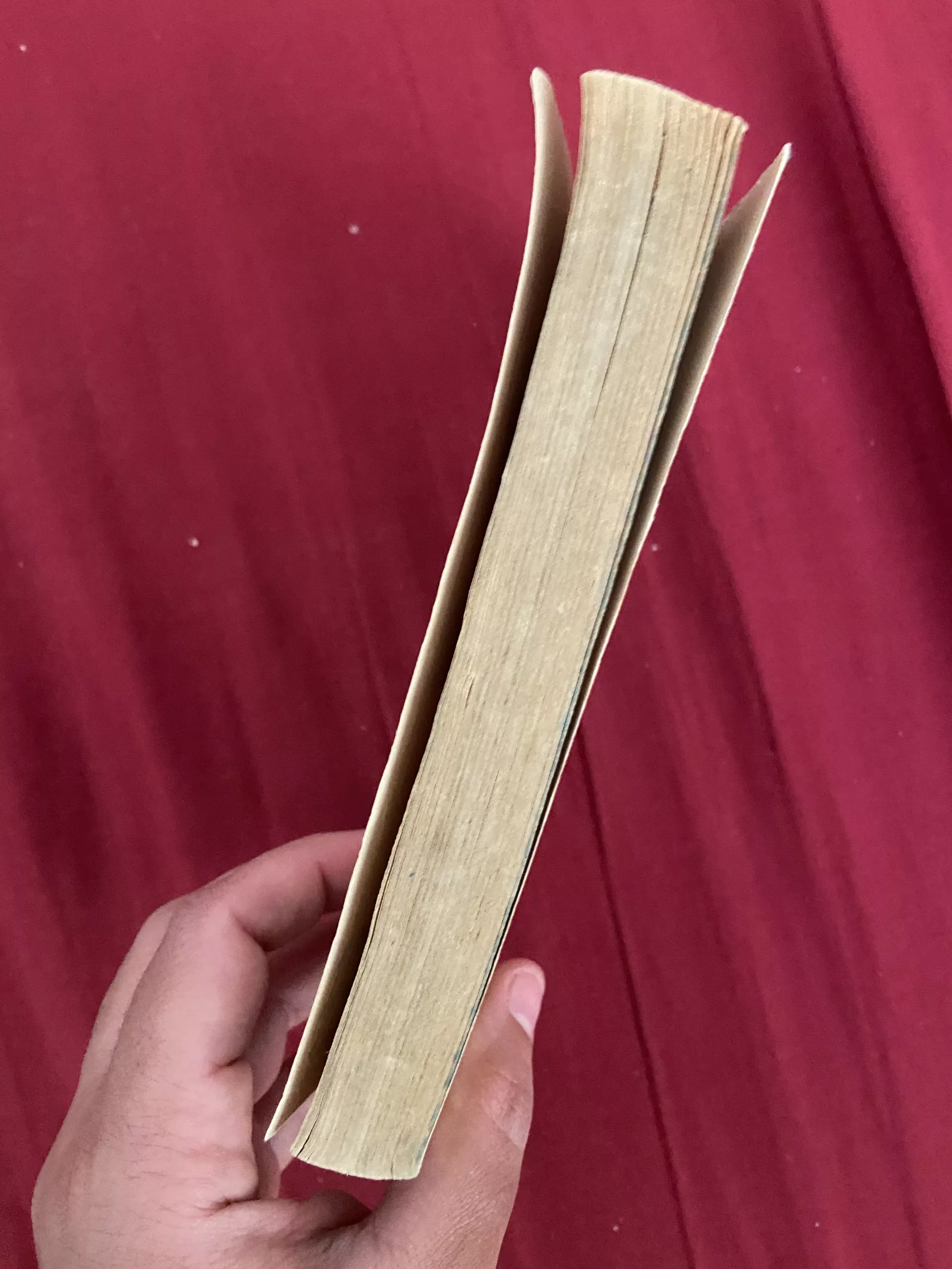 98C3CF78-F3A1-4B77-8FBD-255C80833238